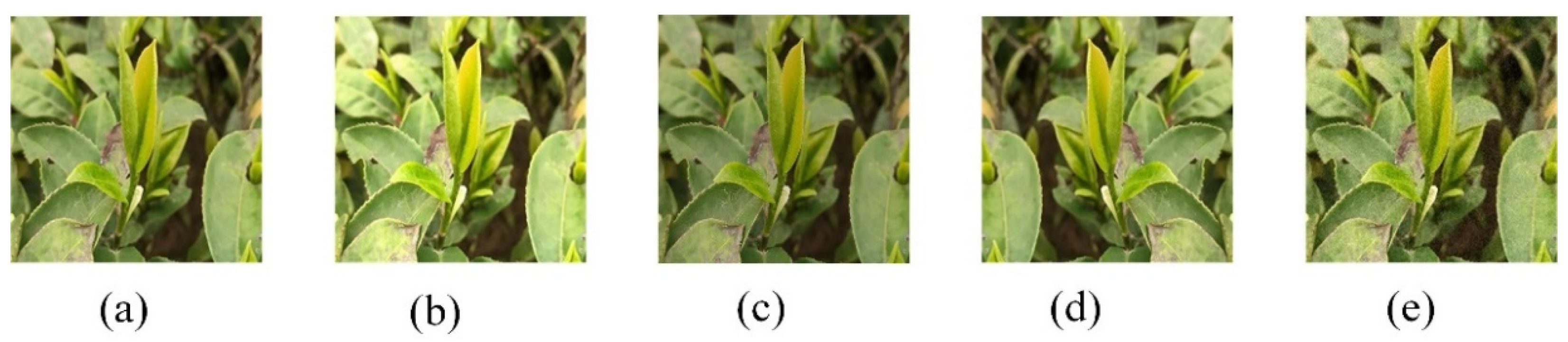 Agriculture 12 01594 g001 Agriculture 12 01594 g001