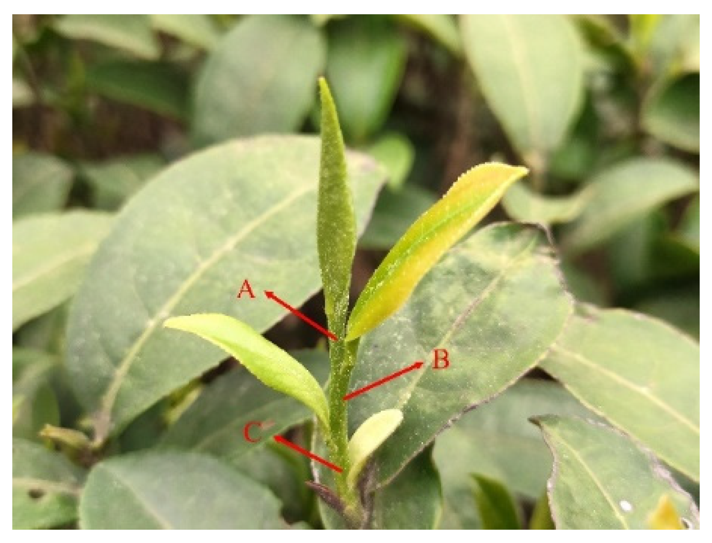 Agriculture 12 01594 g003 Agriculture 12 01594 g003