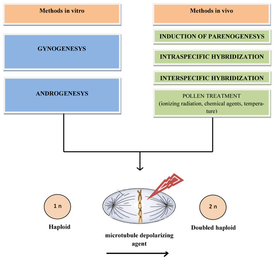 The Recent Development in Technologies ... Biology Diagrams