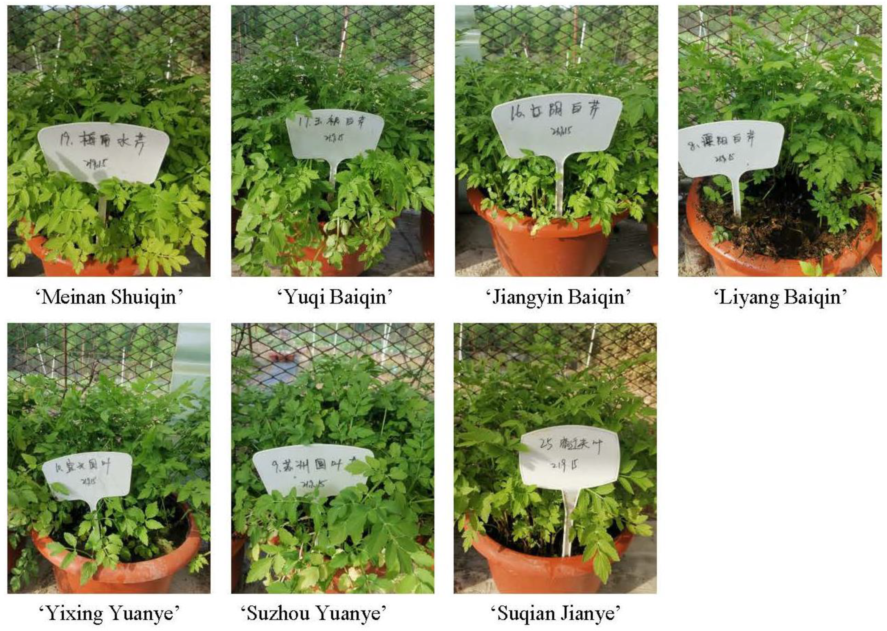 Agriculture 12 01602 g001 Agriculture 12 01602 g001