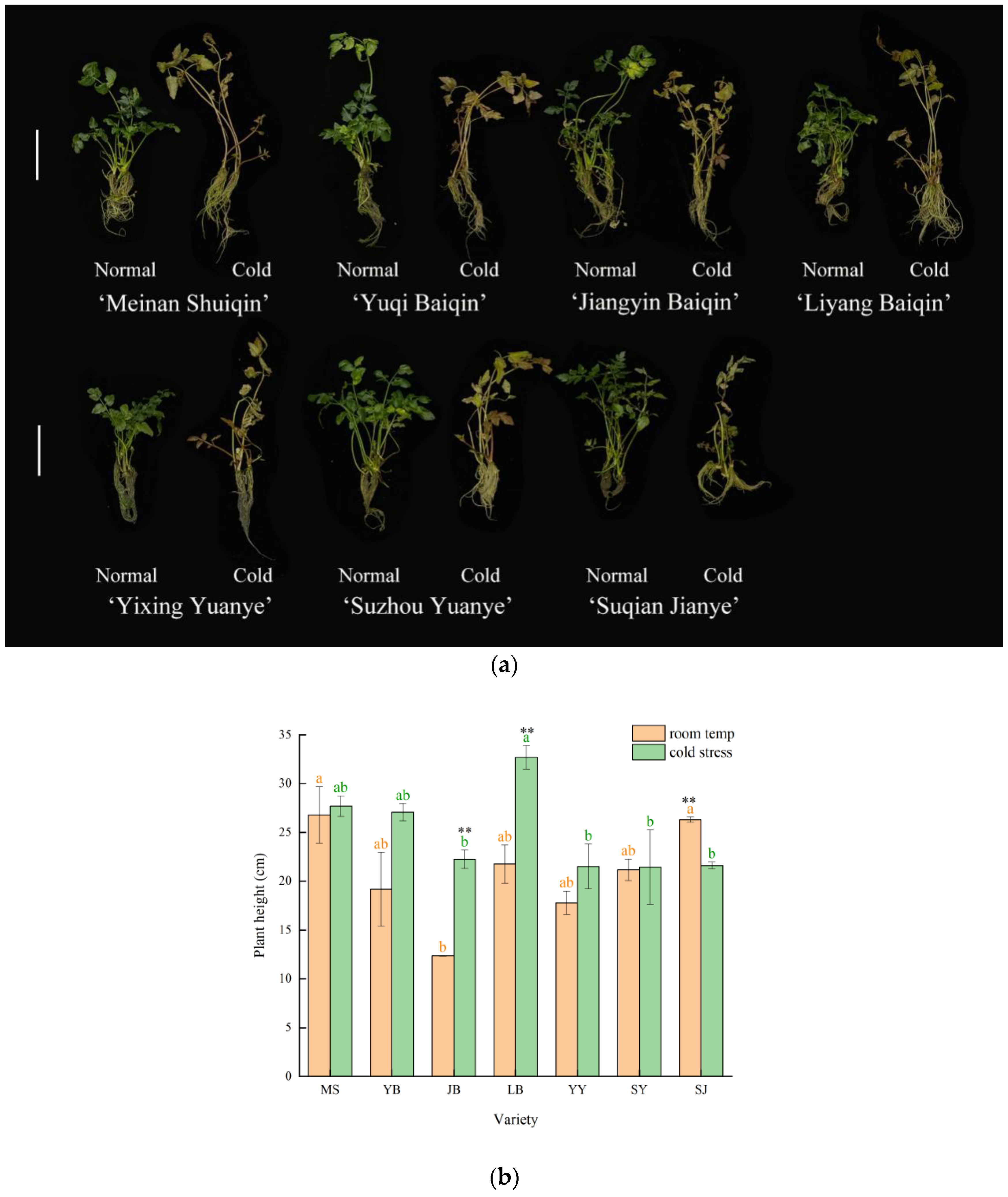 Agriculture 12 01602 g002a Agriculture 12 01602 g002a