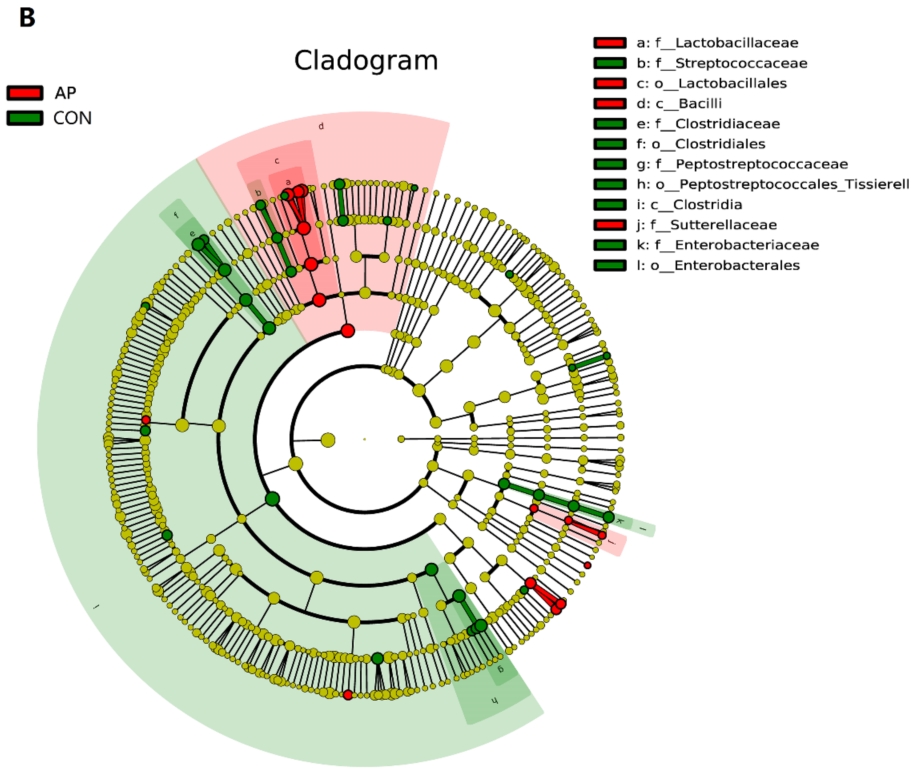 Agriculture 12 01603 g003b