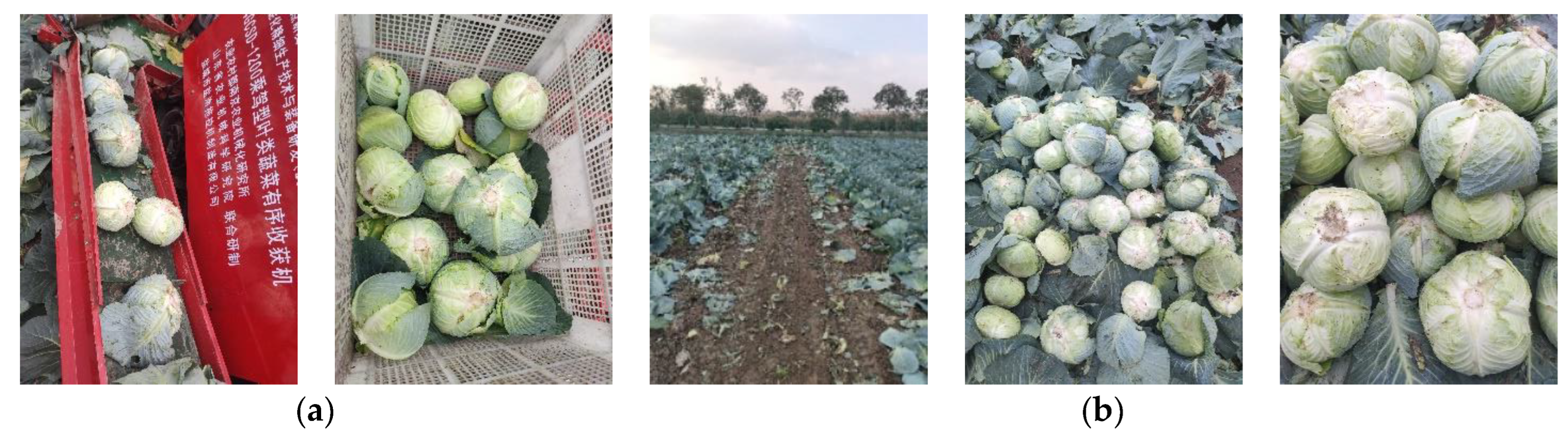 Agriculture 12 01610 g016