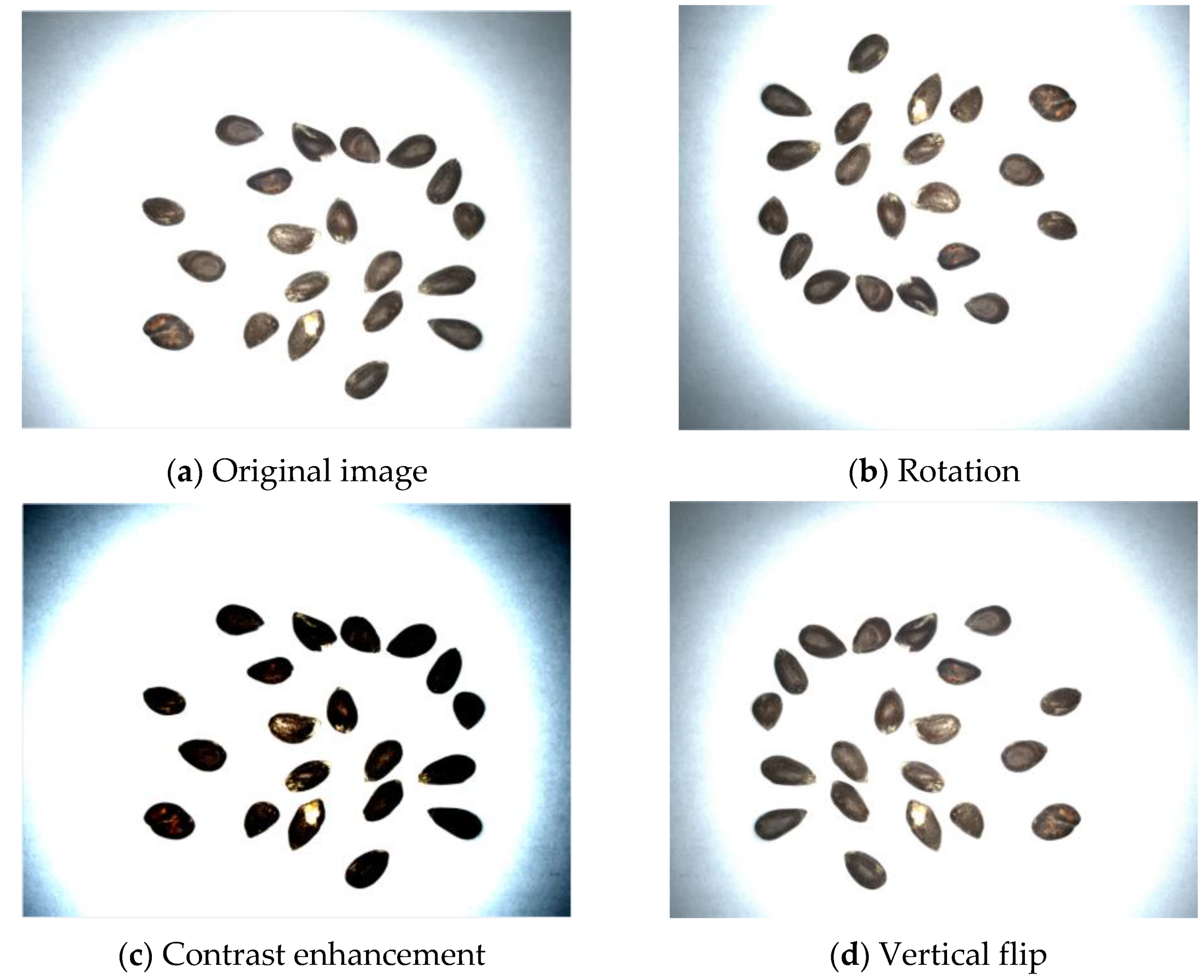 Agriculture 12 01630 g001