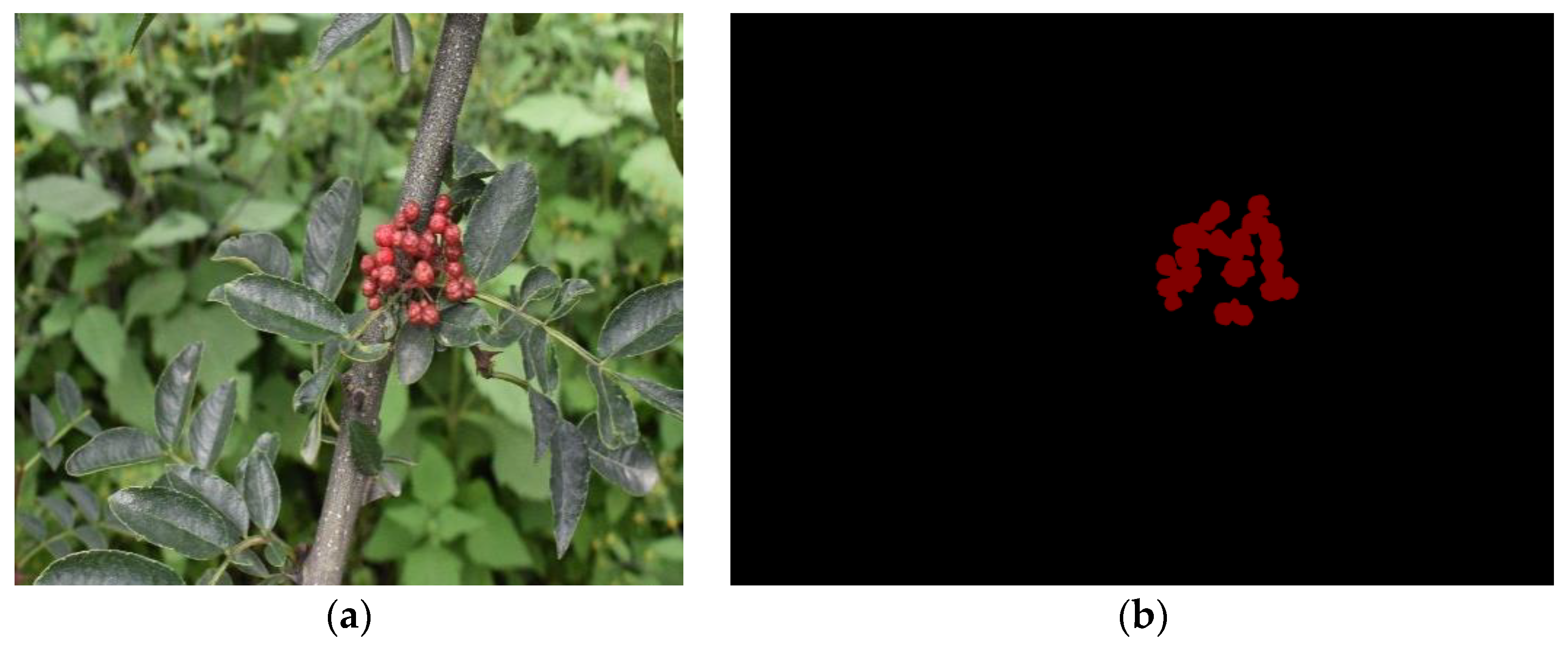 Agriculture 12 01631 g003 Agriculture 12 01631 g003