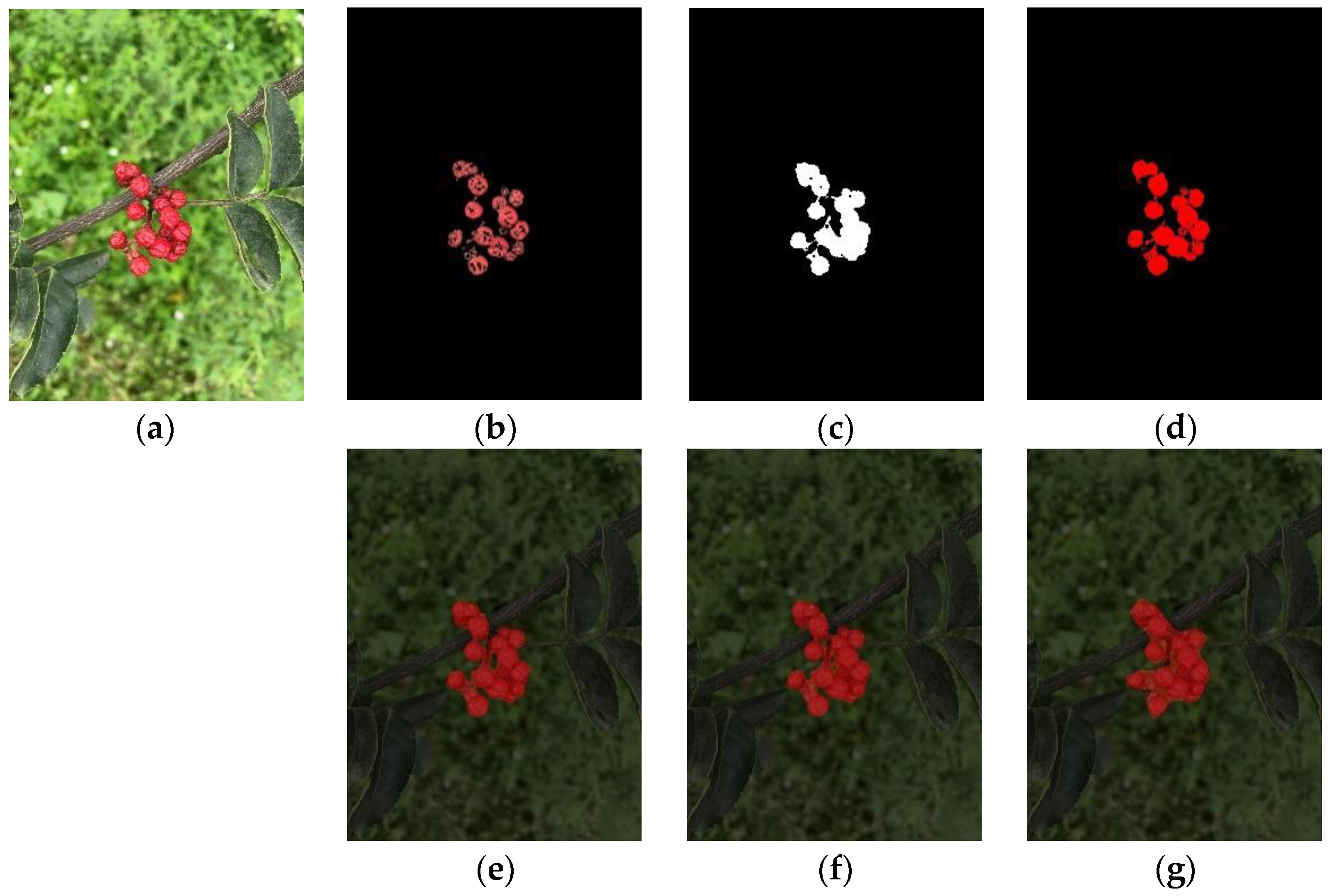 Agriculture 12 01631 g010 Agriculture 12 01631 g010