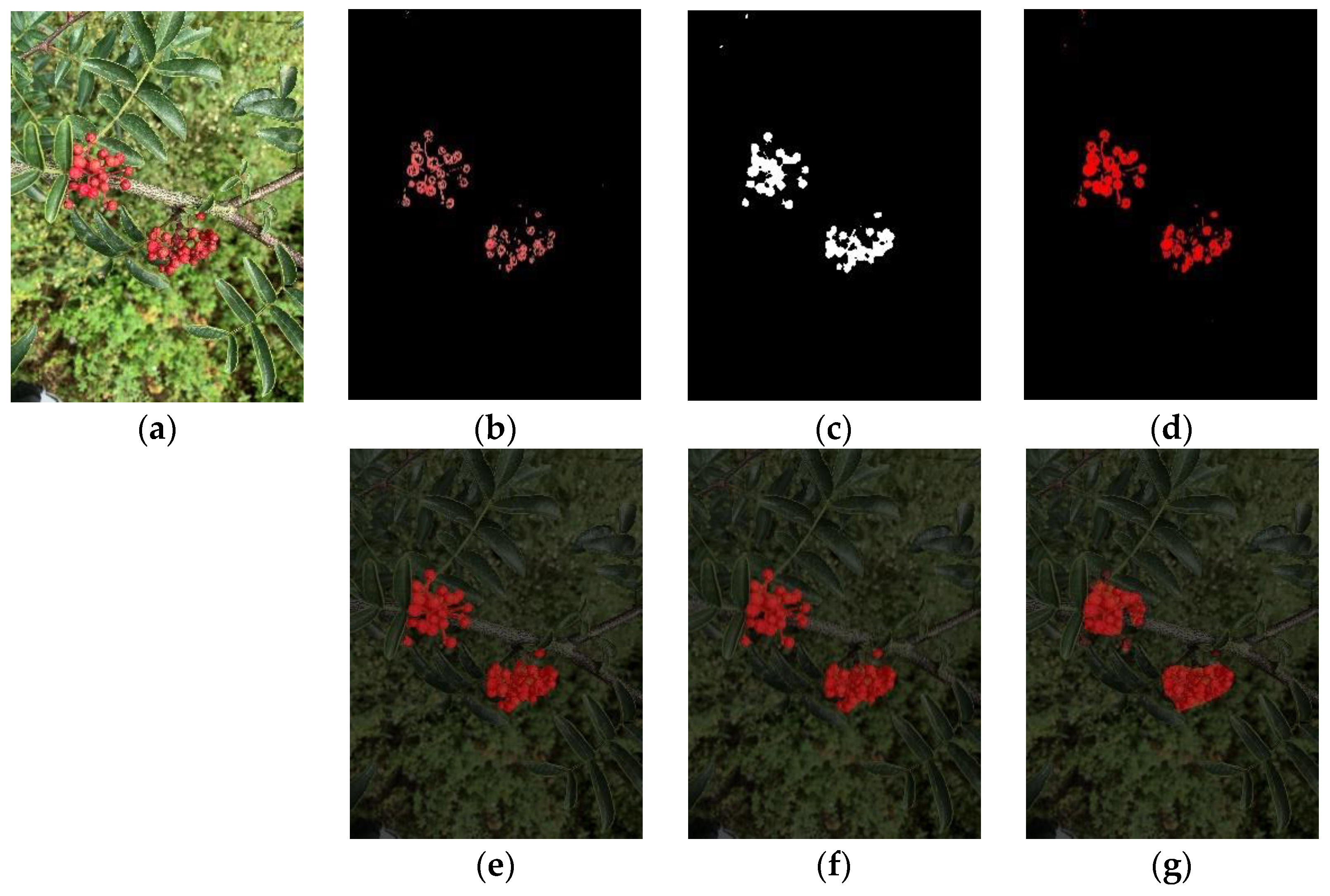 Agriculture 12 01631 g013 Agriculture 12 01631 g013