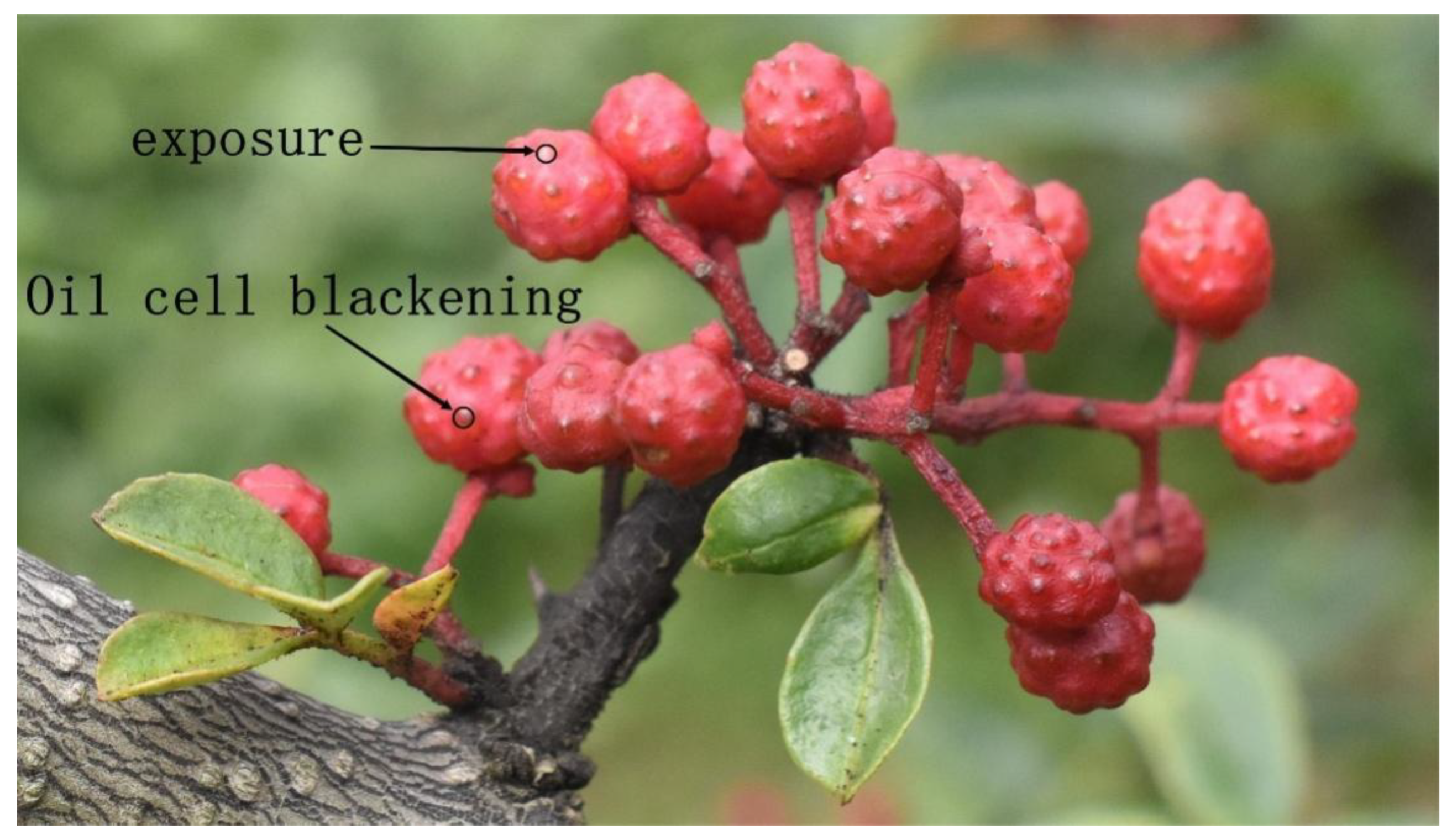 Agriculture 12 01631 g014 Agriculture 12 01631 g014