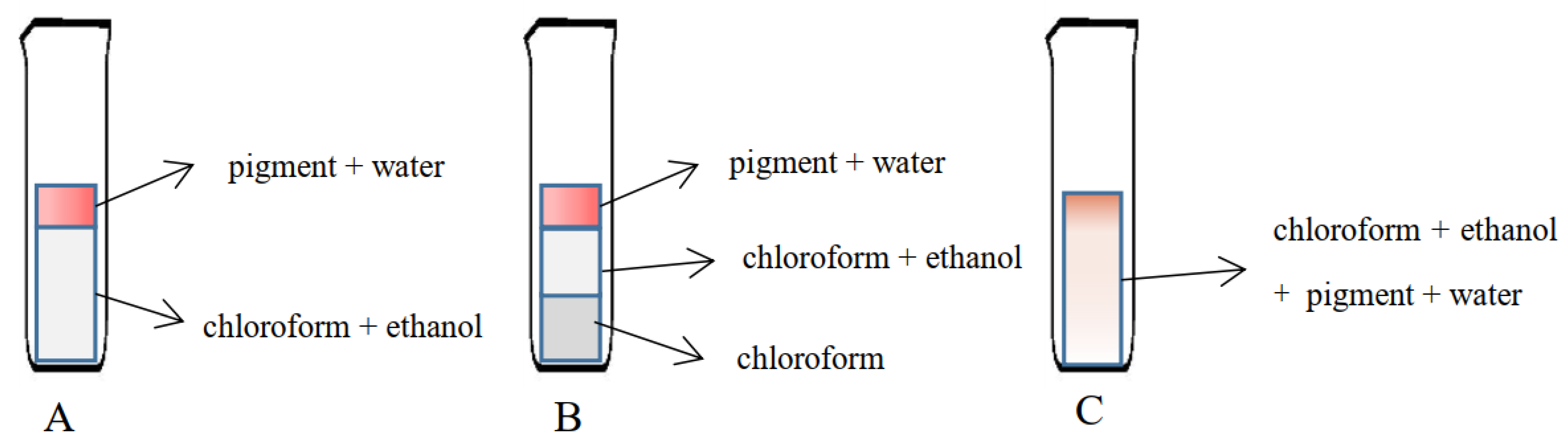 Agriculture 12 01641 g001 Agriculture 12 01641 g001