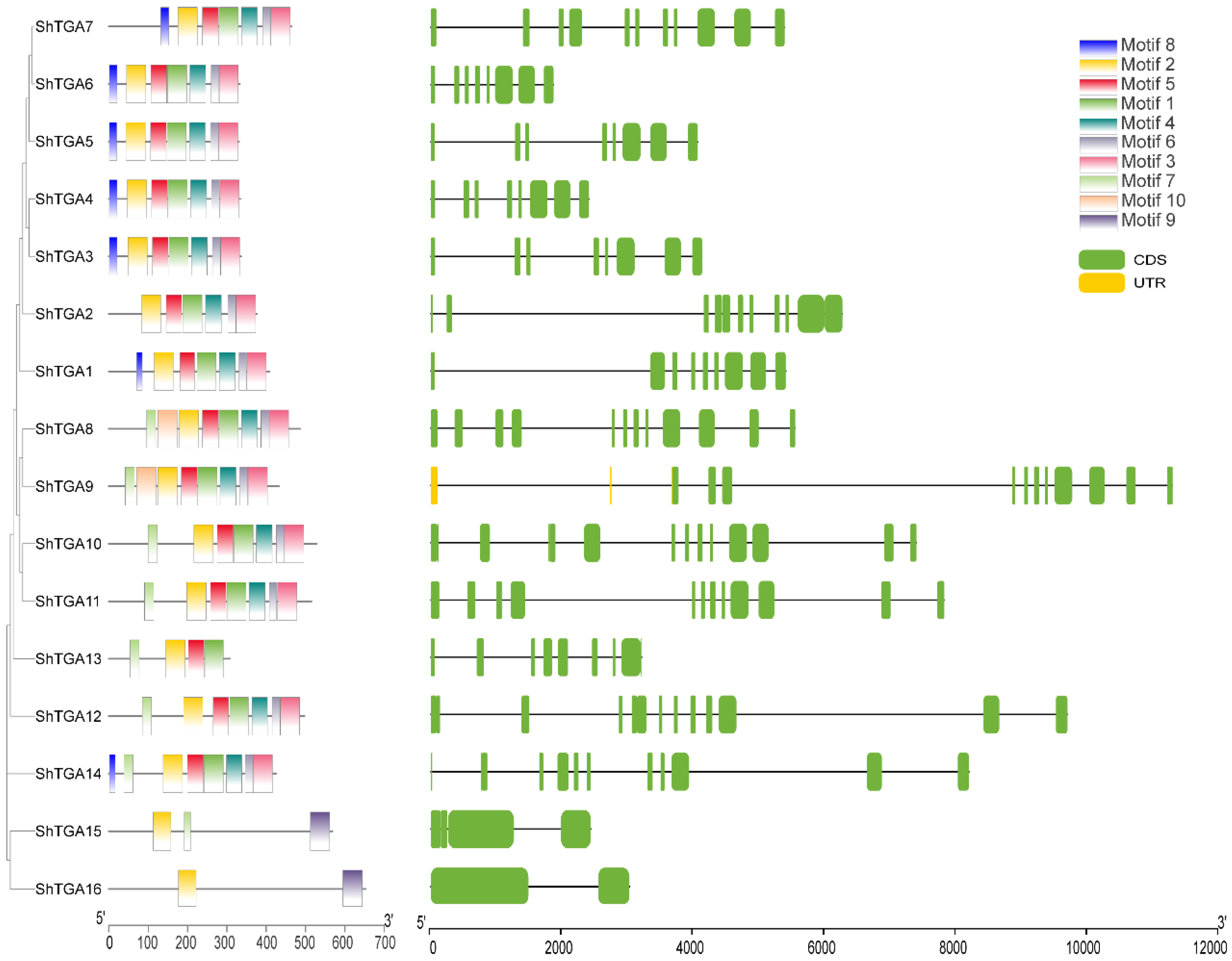 Agriculture 12 01644 g001 Agriculture 12 01644 g001