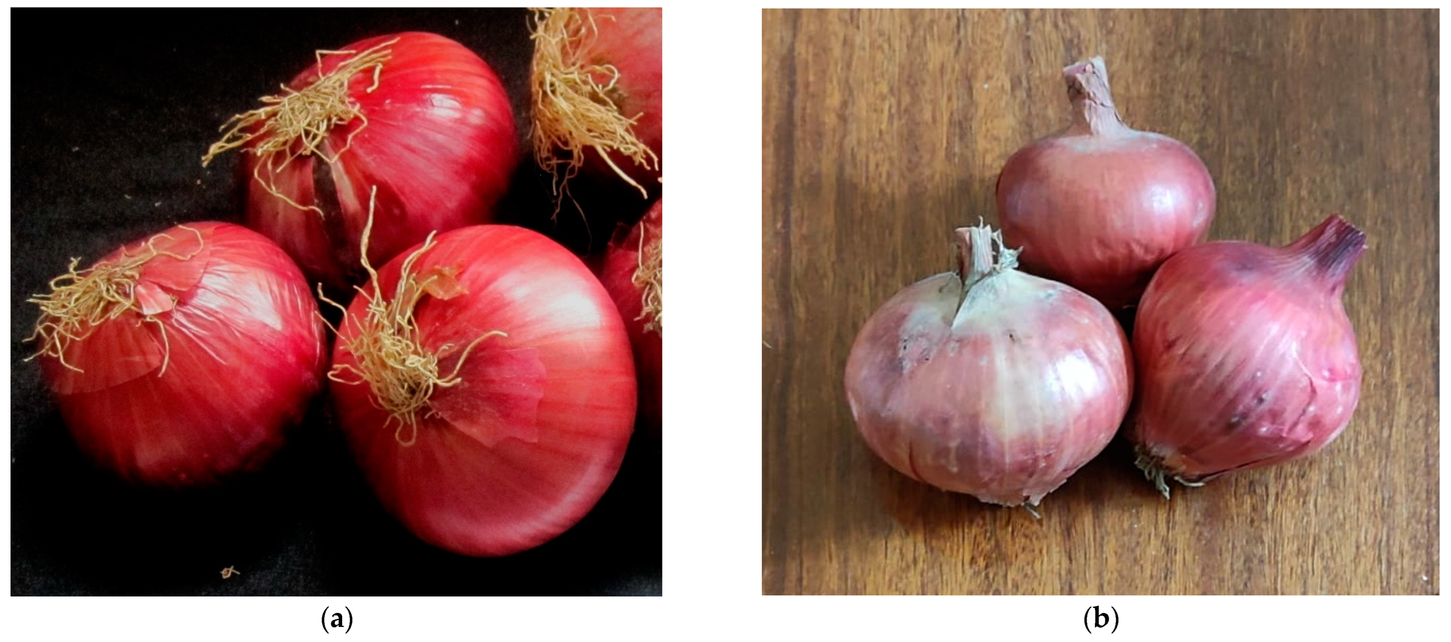 Agriculture 12 01652 g001 Agriculture 12 01652 g001