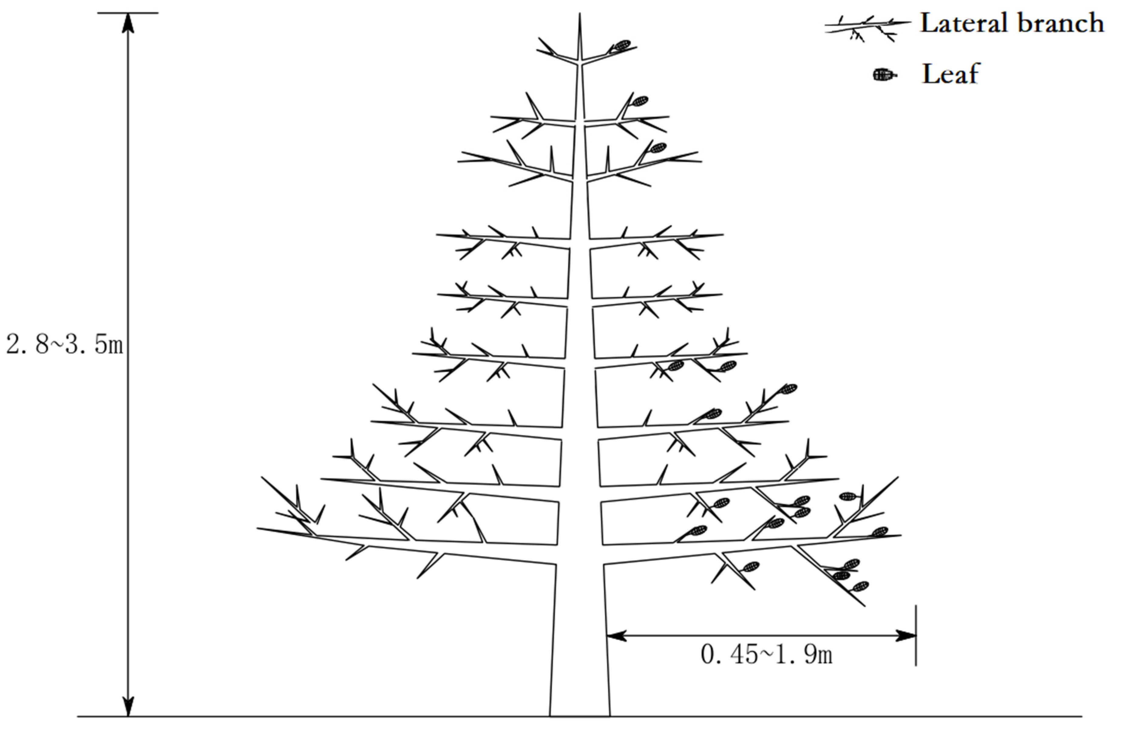 Agriculture 12 01653 g002 Agriculture 12 01653 g002