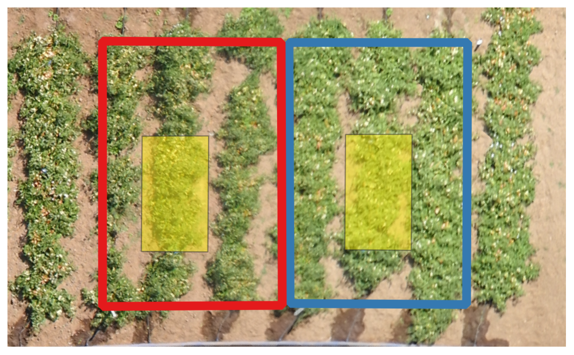 Agriculture 12 01655 g004 Agriculture 12 01655 g004