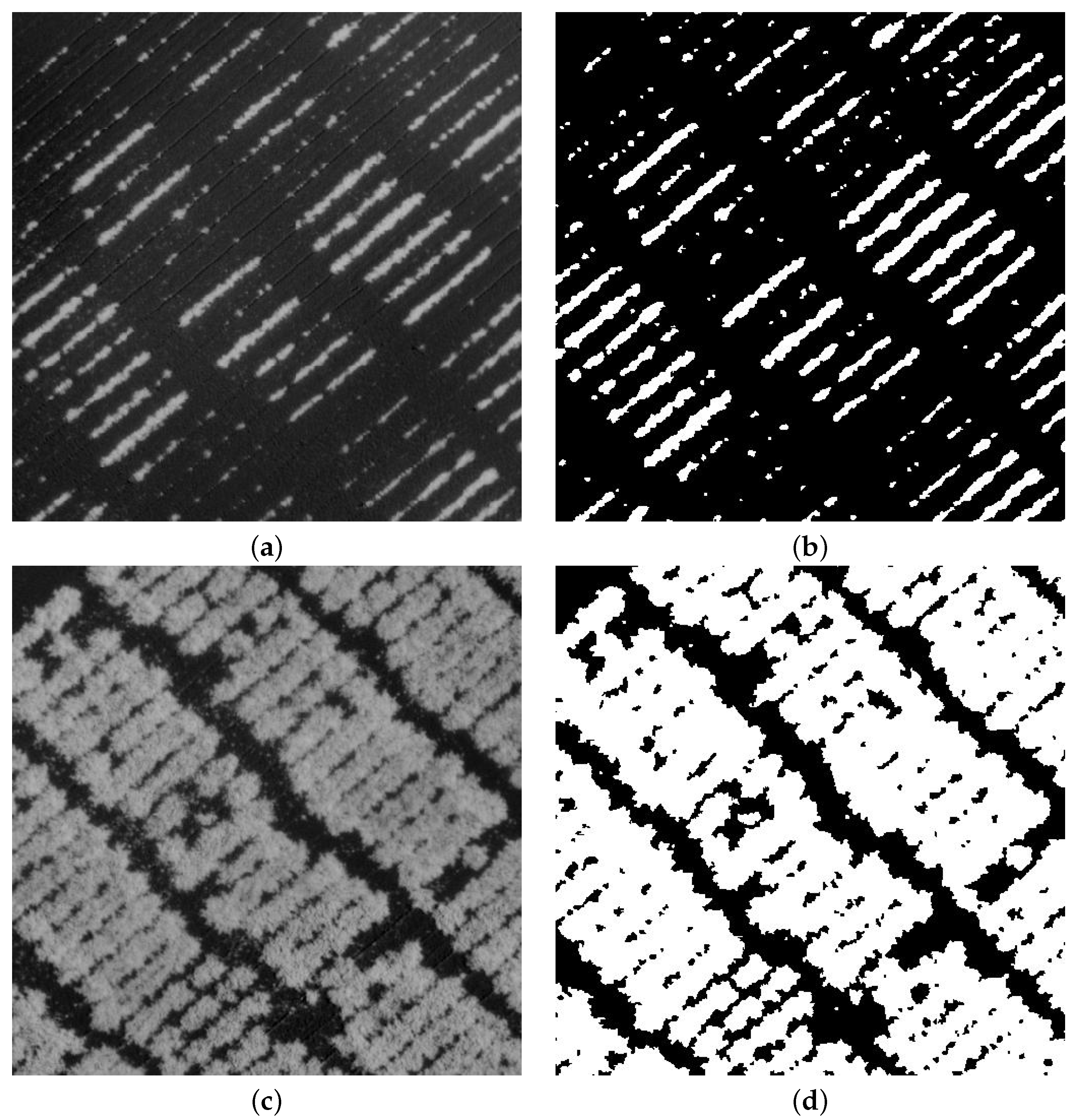 Agriculture 12 01655 g007 Agriculture 12 01655 g007