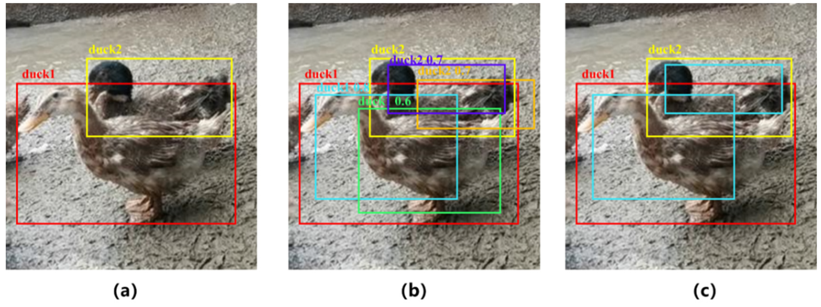 Agriculture 12 01659 g001