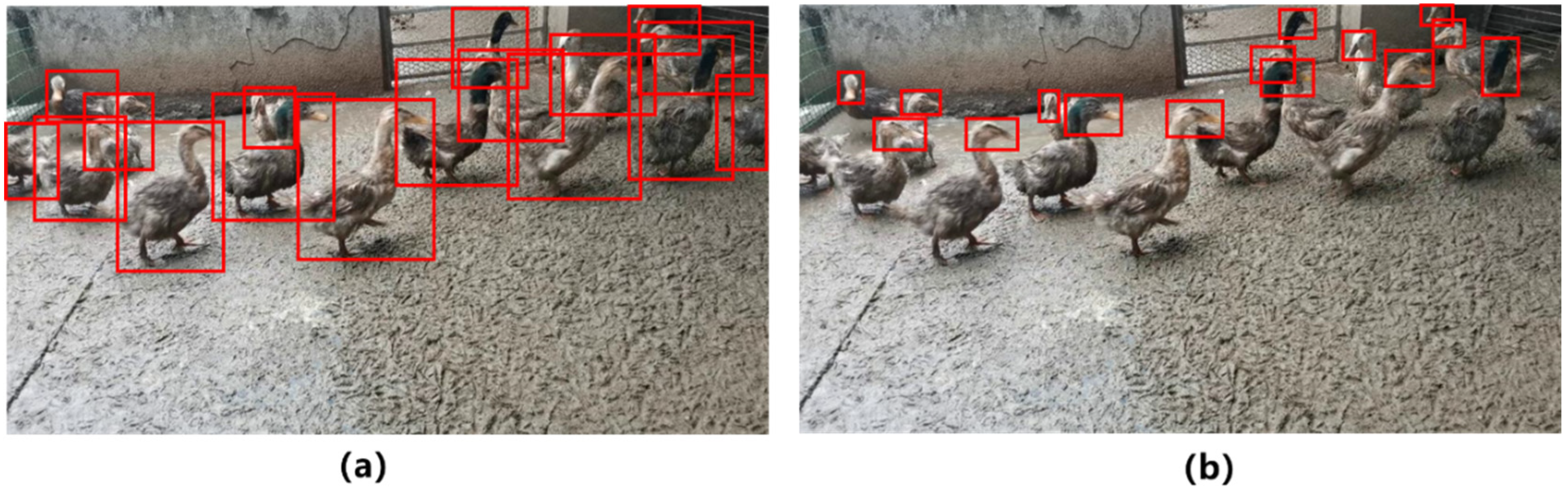 Agriculture 12 01659 g002