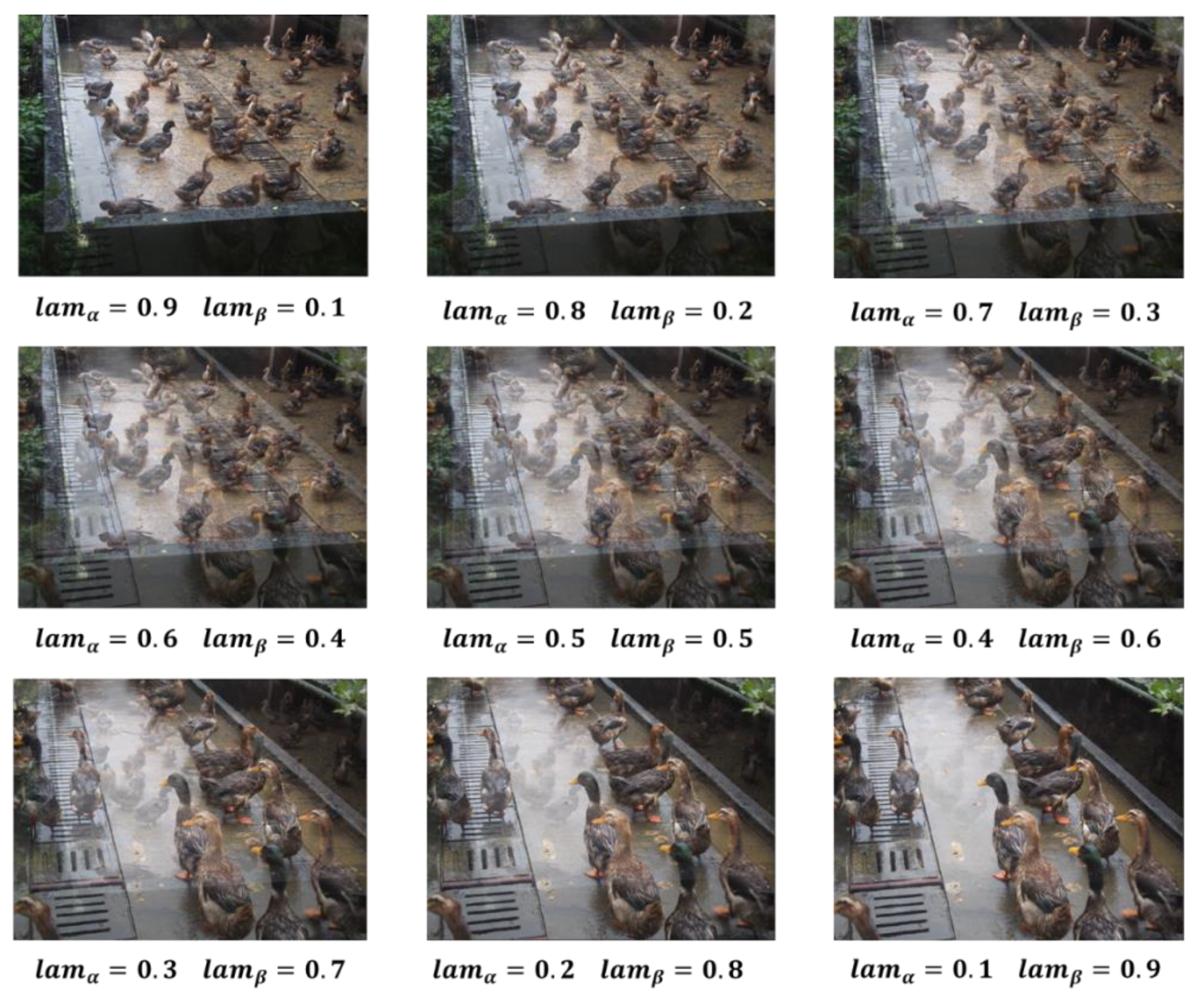 Agriculture 12 01659 g003