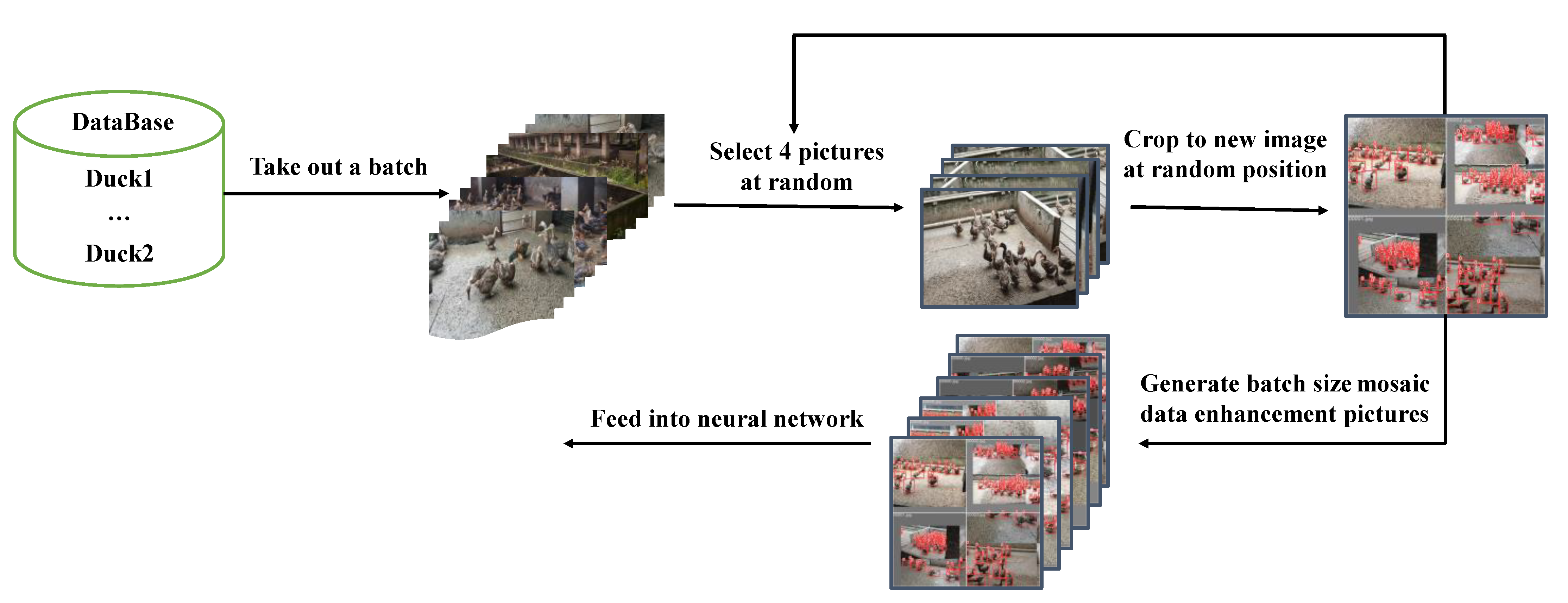 Agriculture 12 01659 g004