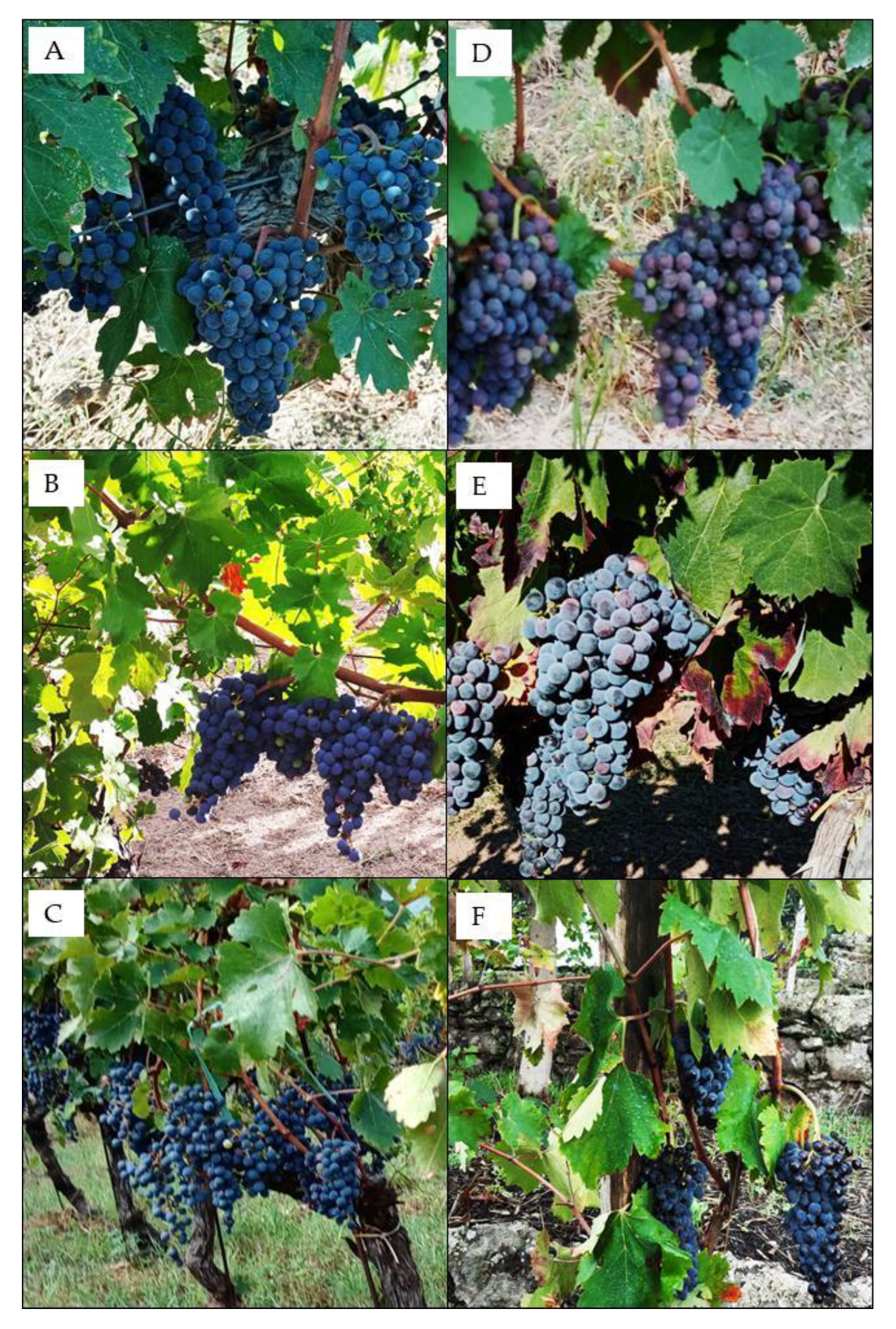 Agriculture 12 01660 g009