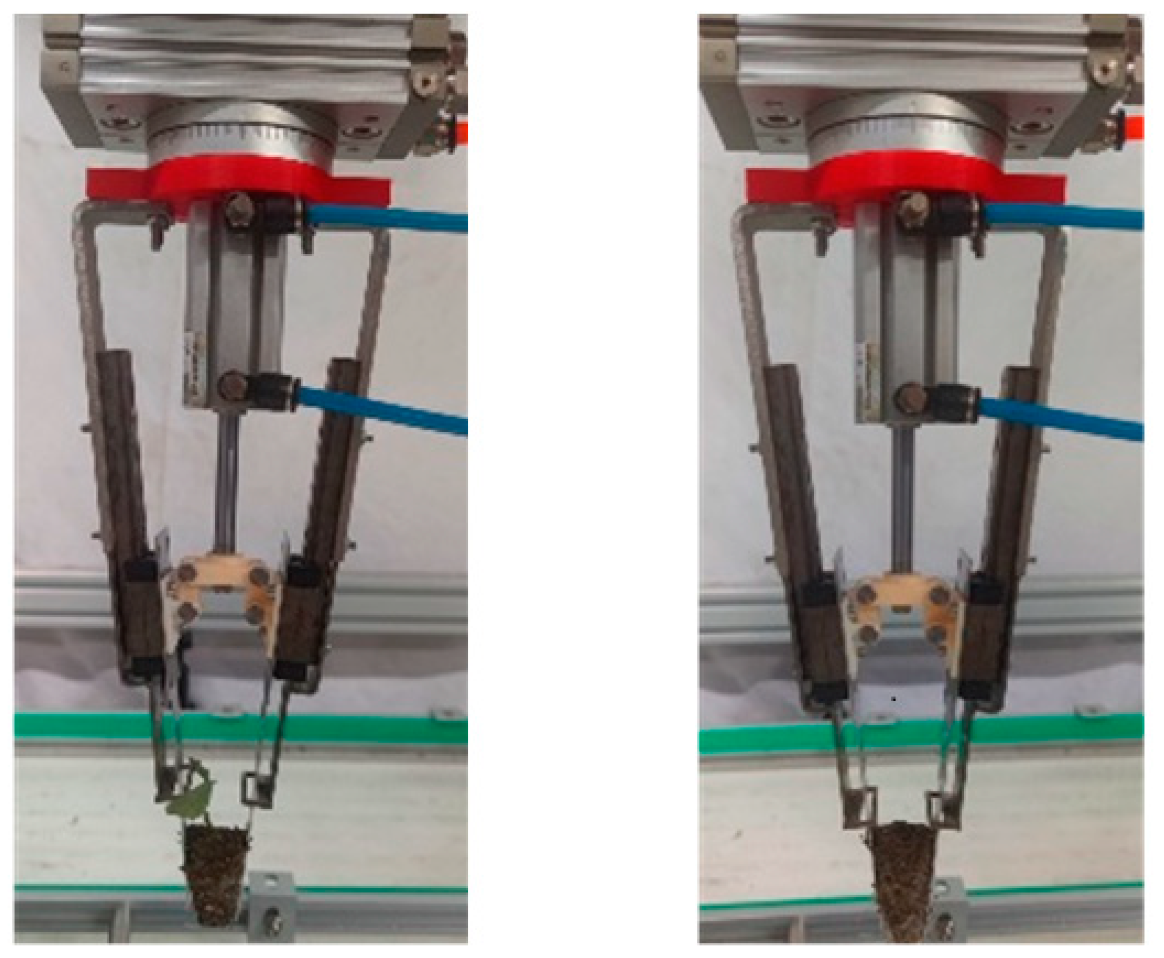 Agriculture 12 01661 g017 Agriculture 12 01661 g017