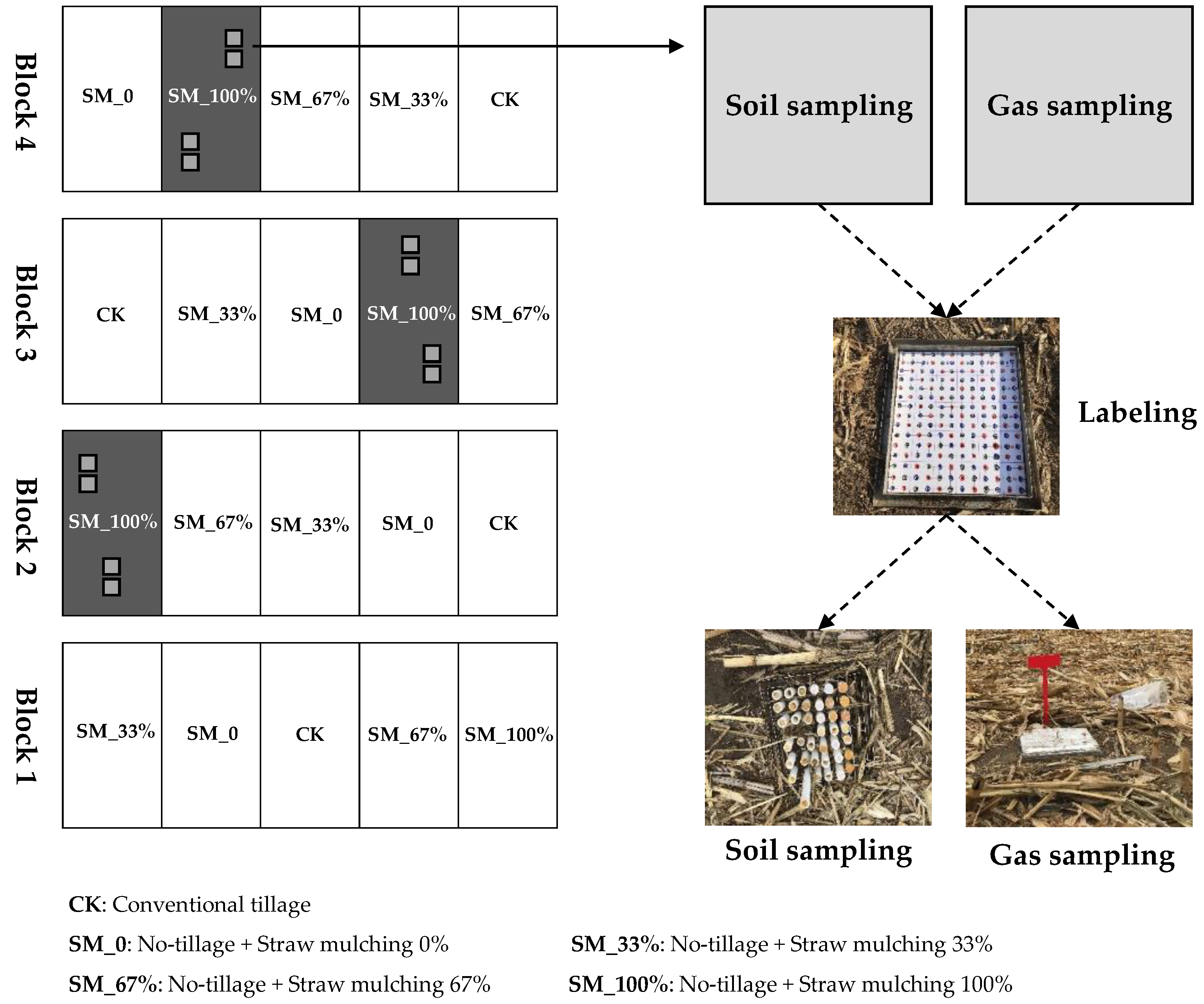 Agriculture | Free Full-Text | Characteristics of N2 and N2O 