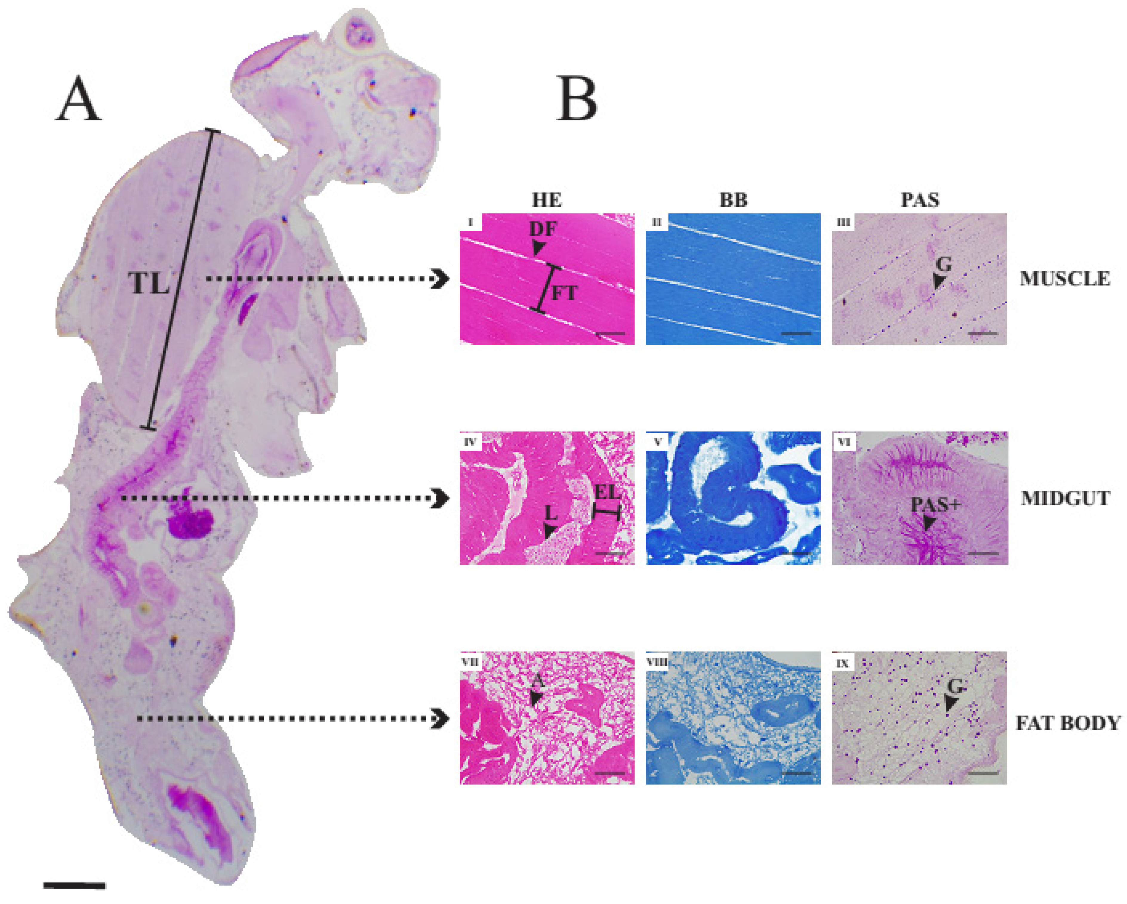 Agriculture 12 01667 g001 Agriculture 12 01667 g001