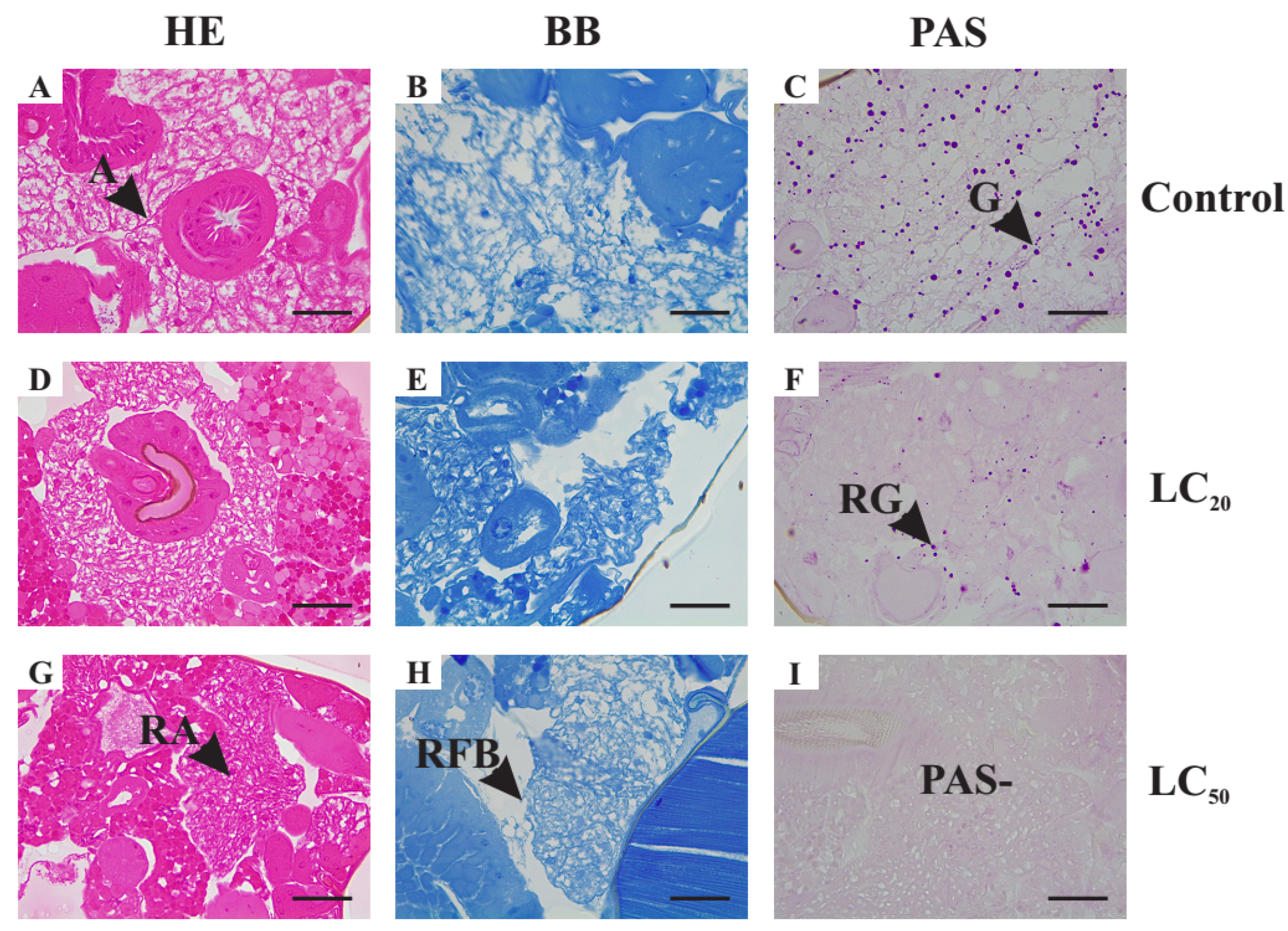 Agriculture 12 01667 g003 Agriculture 12 01667 g003