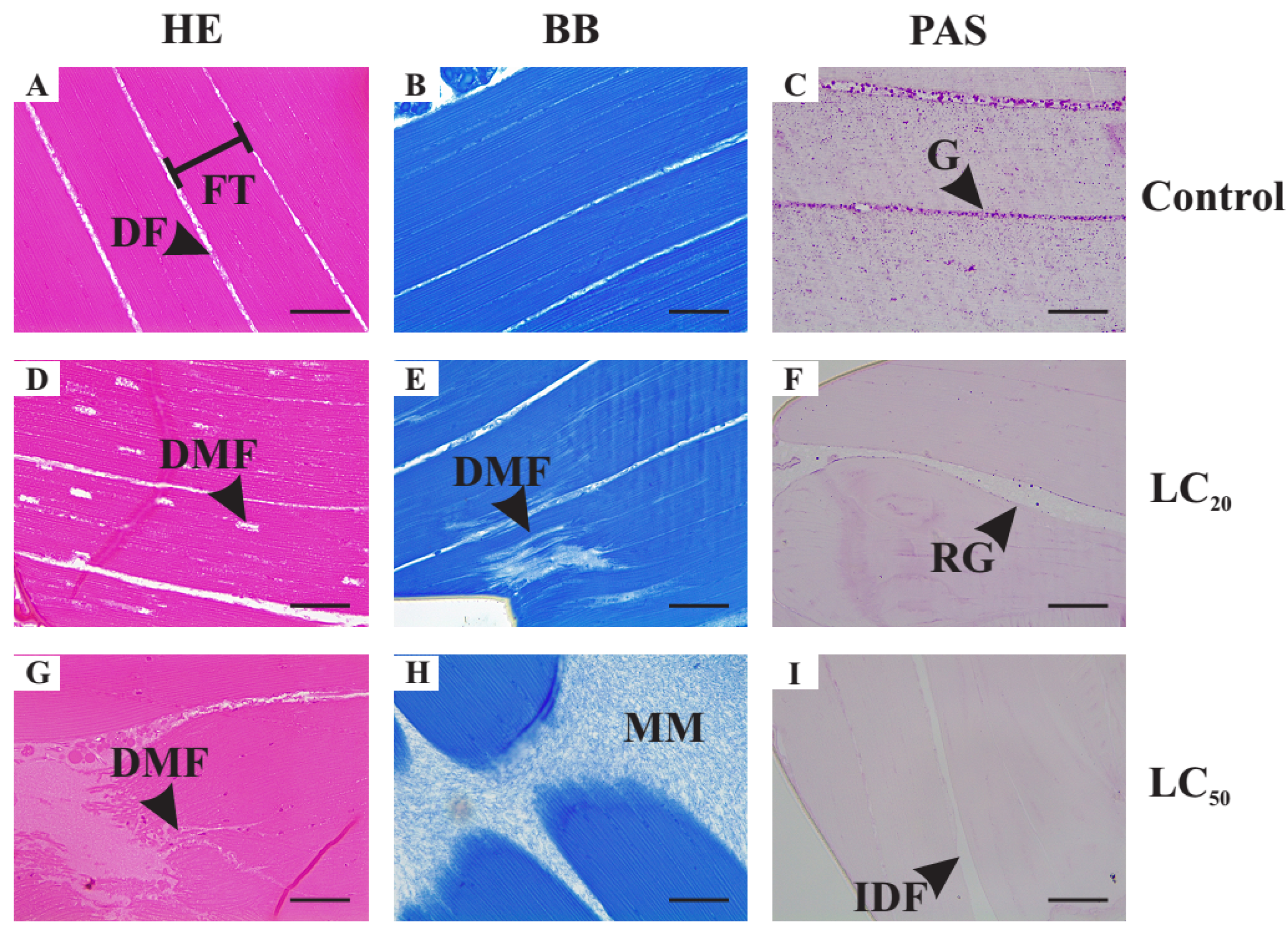 Agriculture 12 01667 g004 Agriculture 12 01667 g004