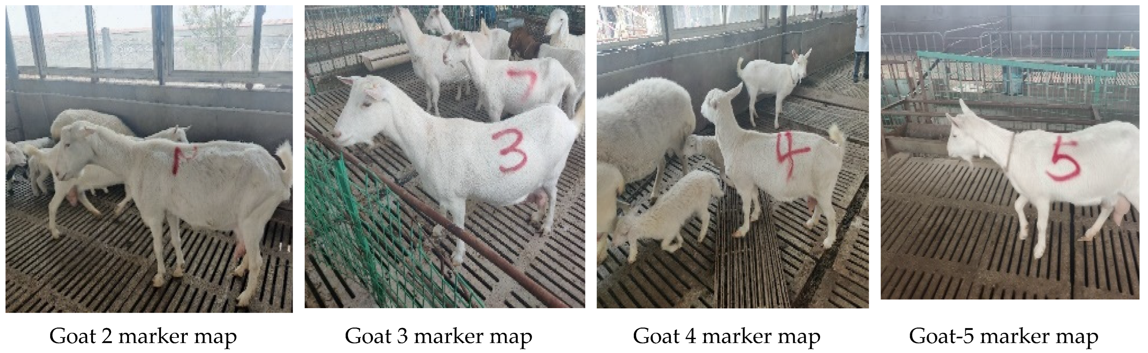 Agriculture 12 01668 g001 550