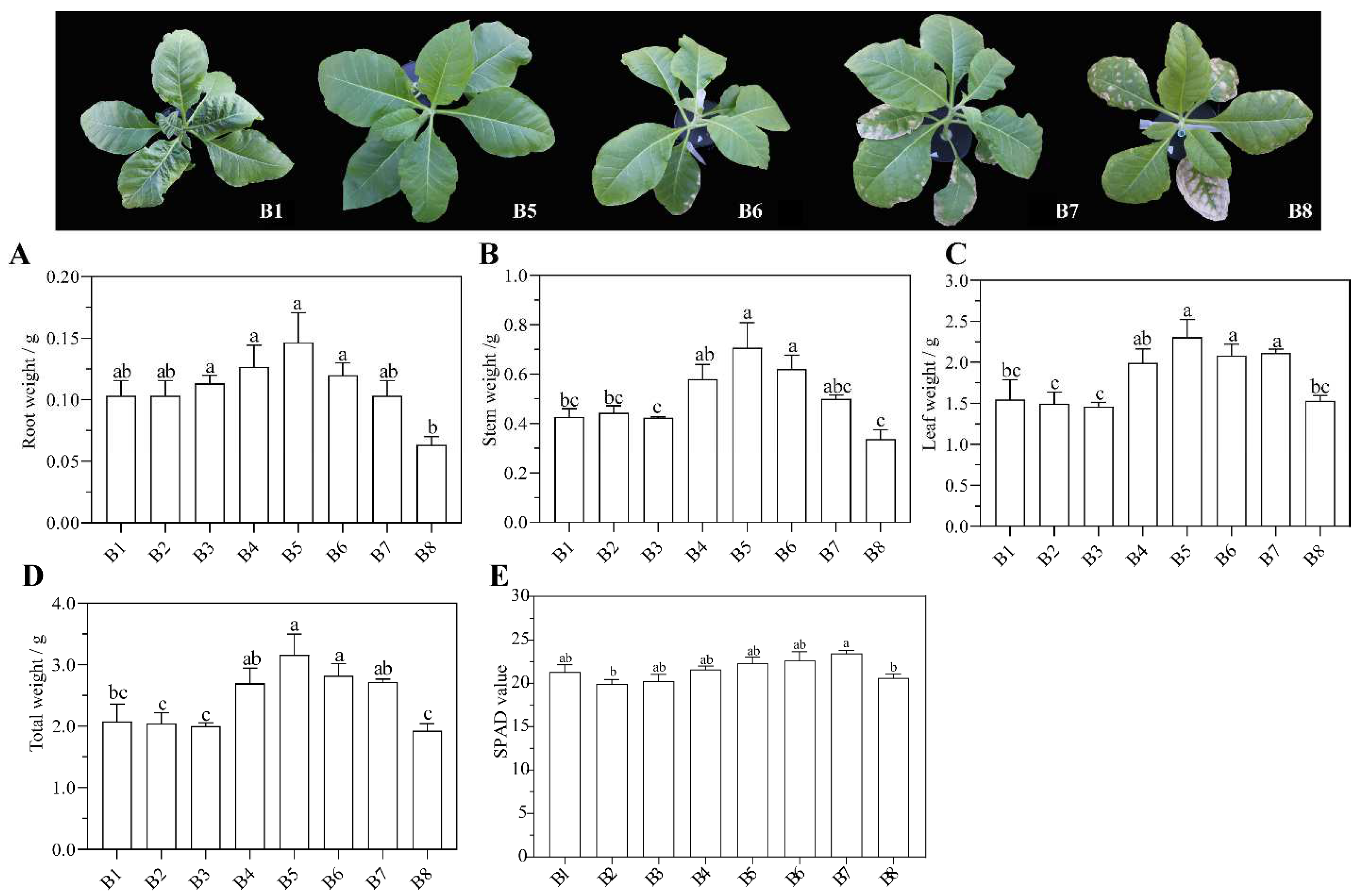 Agriculture 12 01670 g001 Agriculture 12 01670 g001