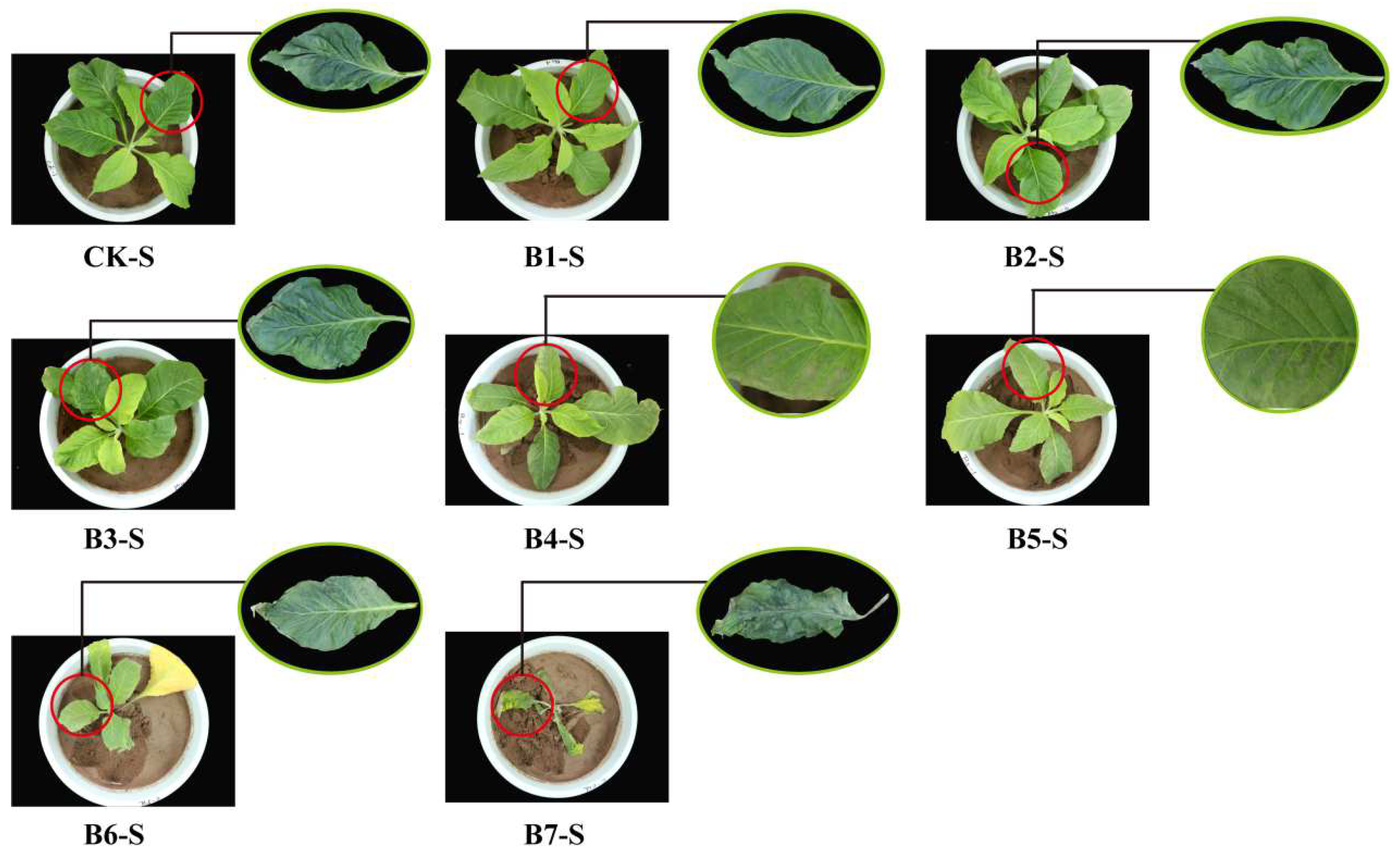 Agriculture 12 01670 g005 Agriculture 12 01670 g005