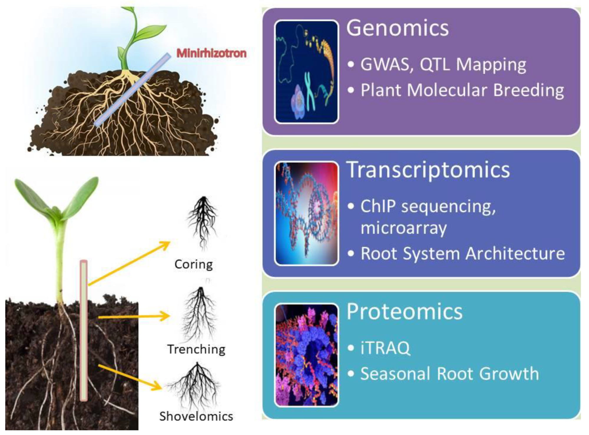 Agriculture 12 01677 g002 Agriculture 12 01677 g002