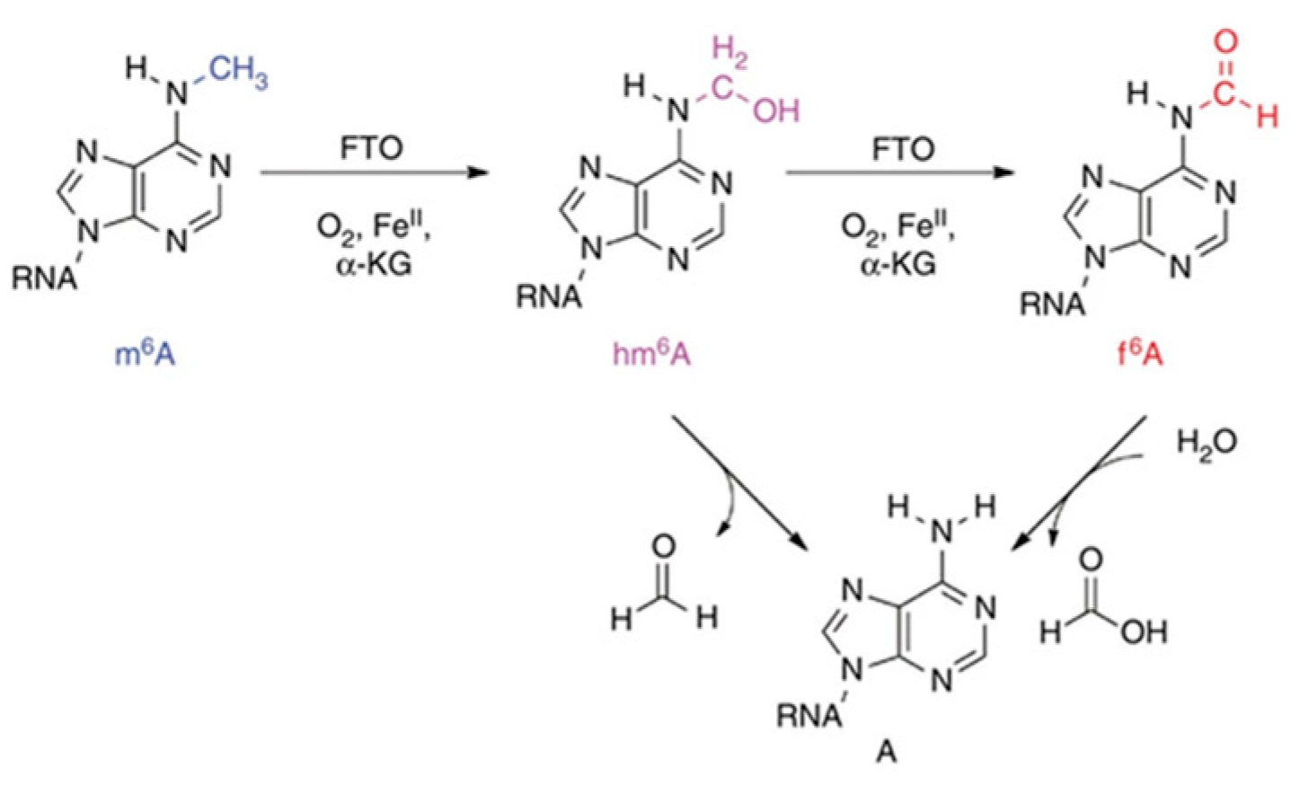 Agriculture 12 01683 g002 Agriculture 12 01683 g002