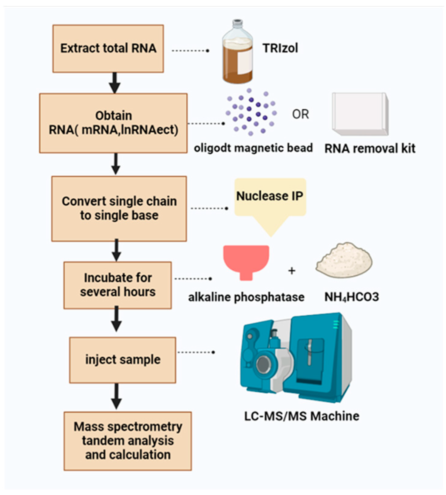 Agriculture 12 01683 g006 Agriculture 12 01683 g006
