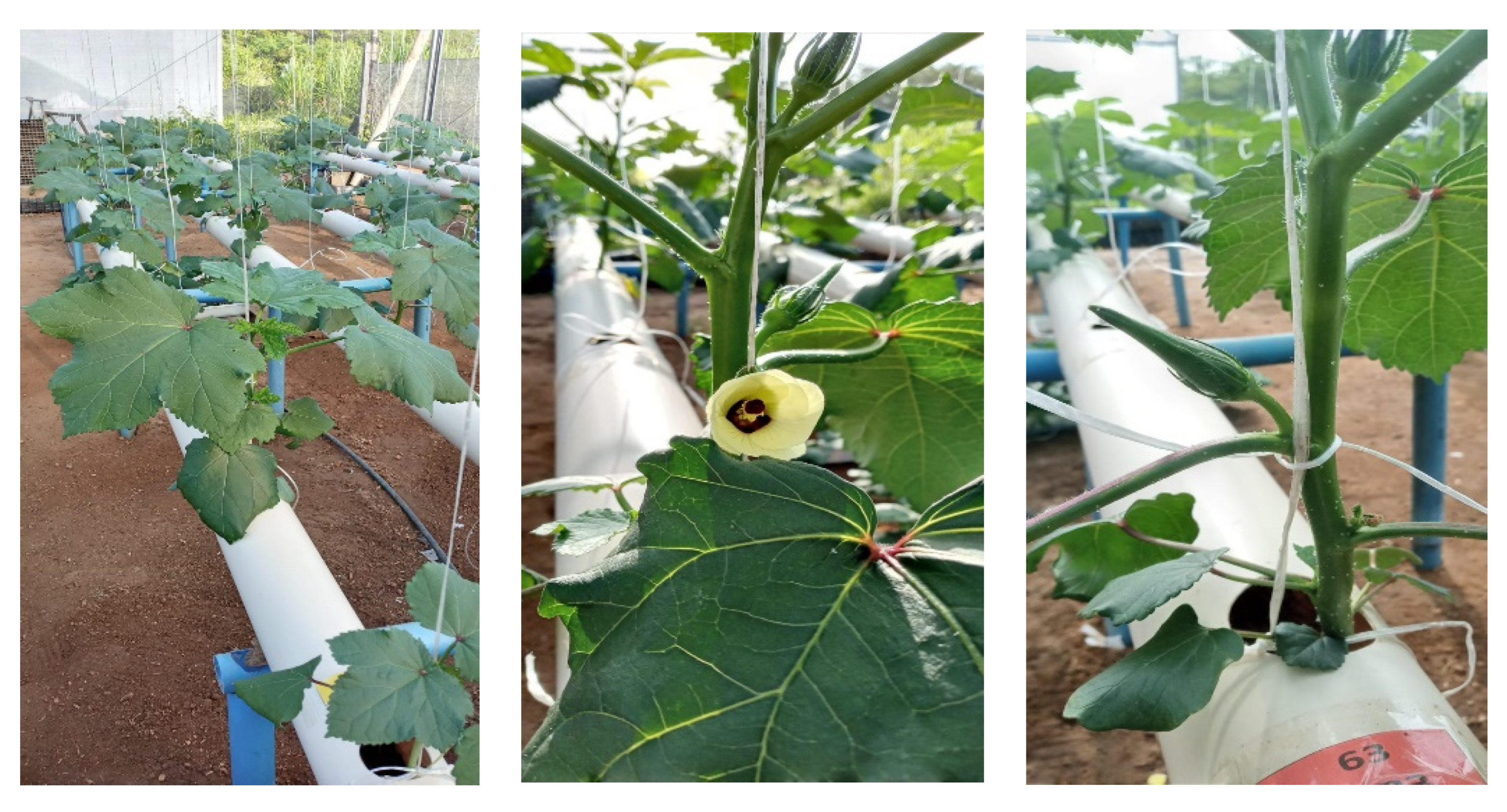 Agriculture 12 01687 g002 Agriculture 12 01687 g002