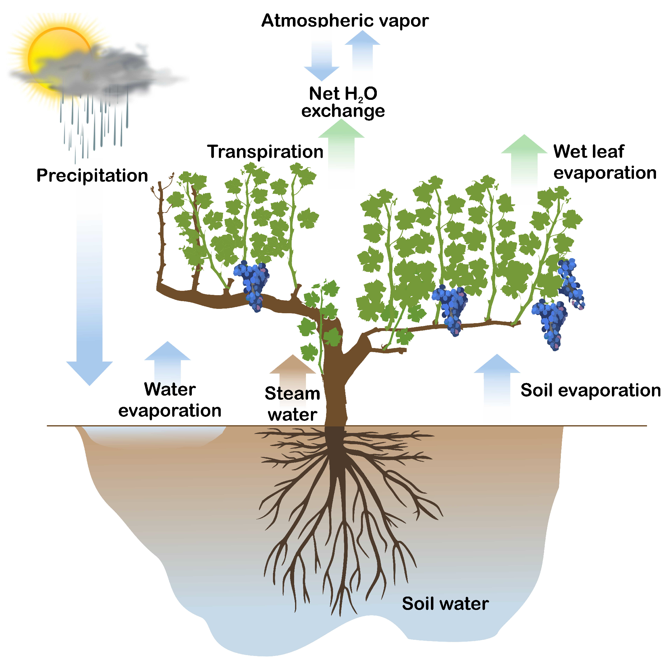 Agriculture 12 01695 g001