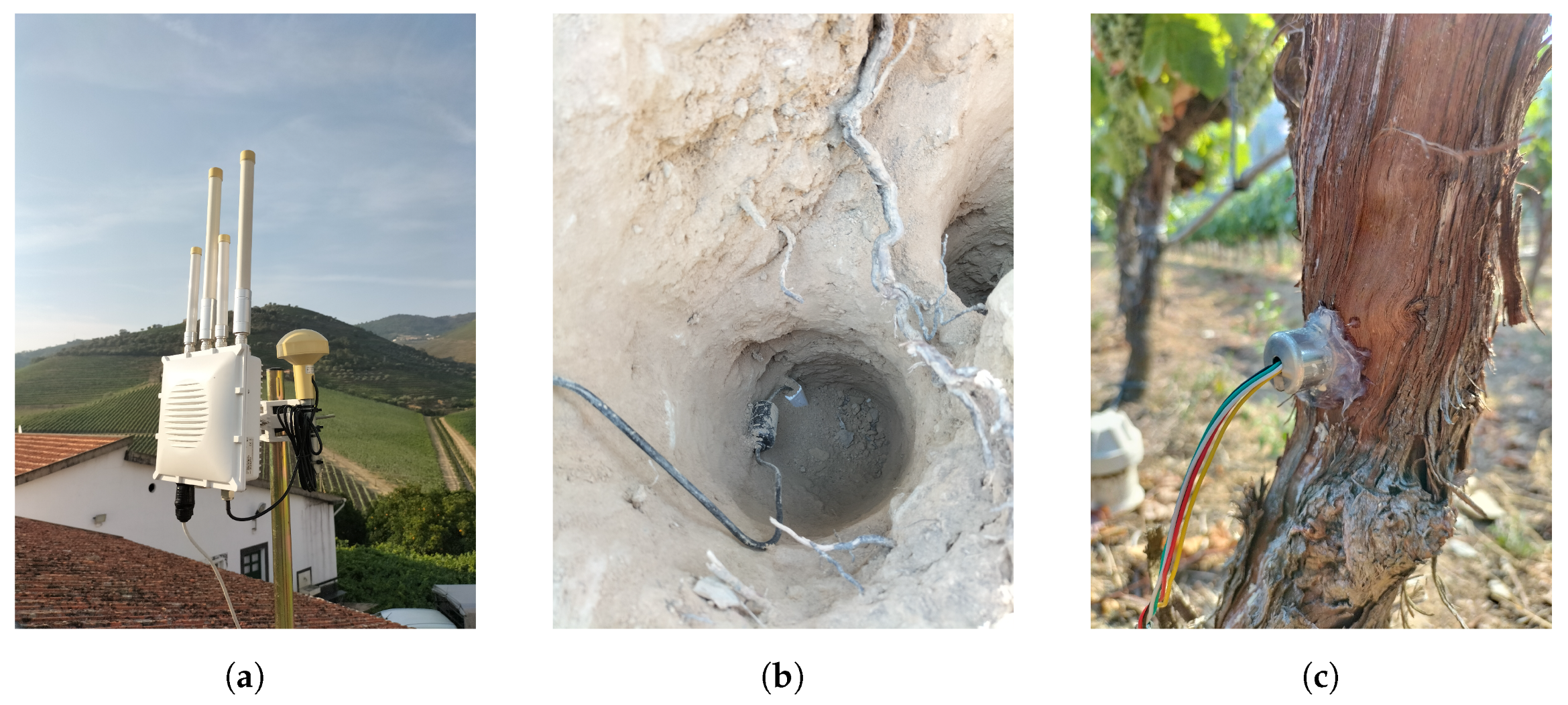 Agriculture 12 01695 g006