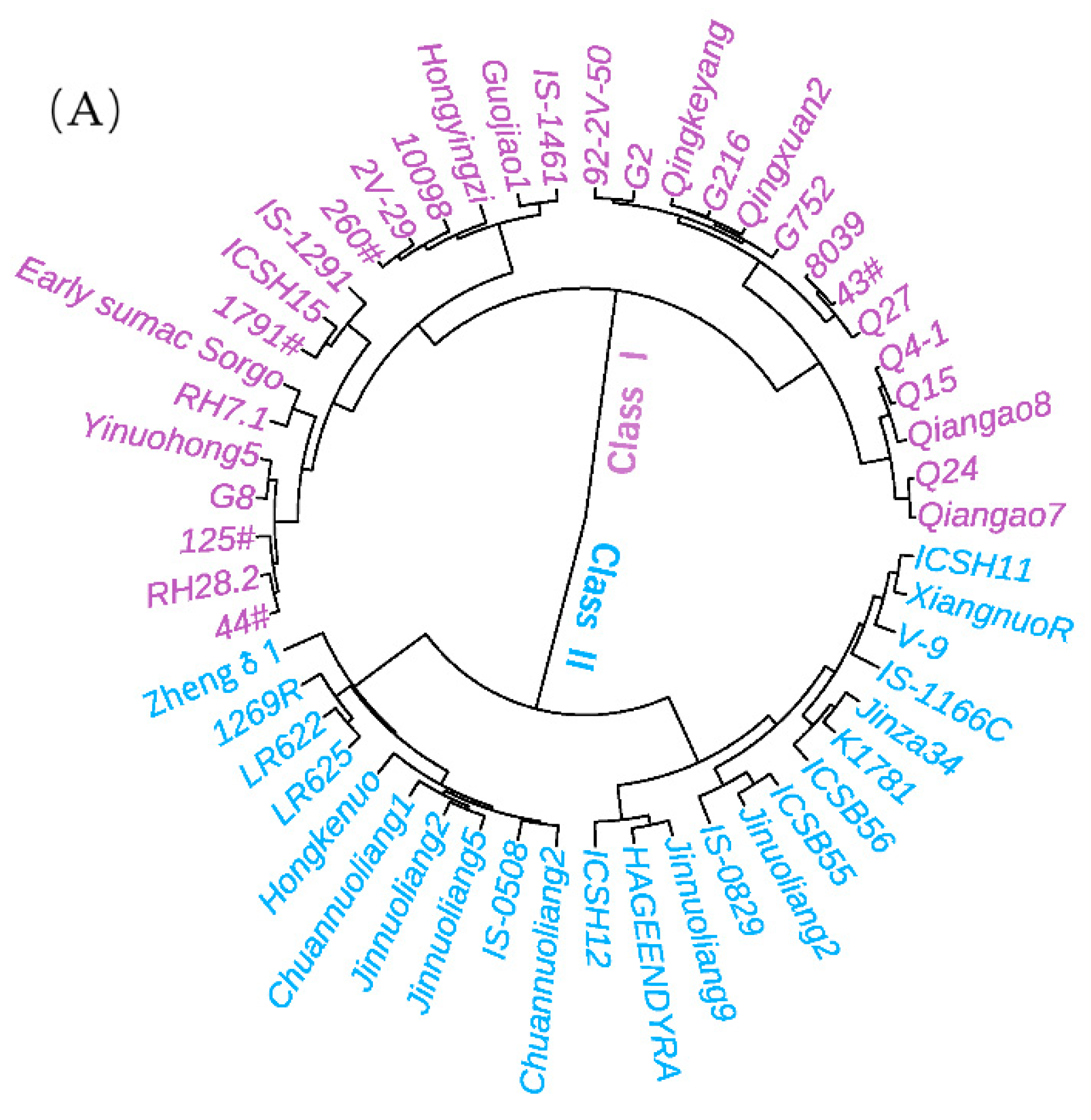 Agriculture 12 01696 g004a