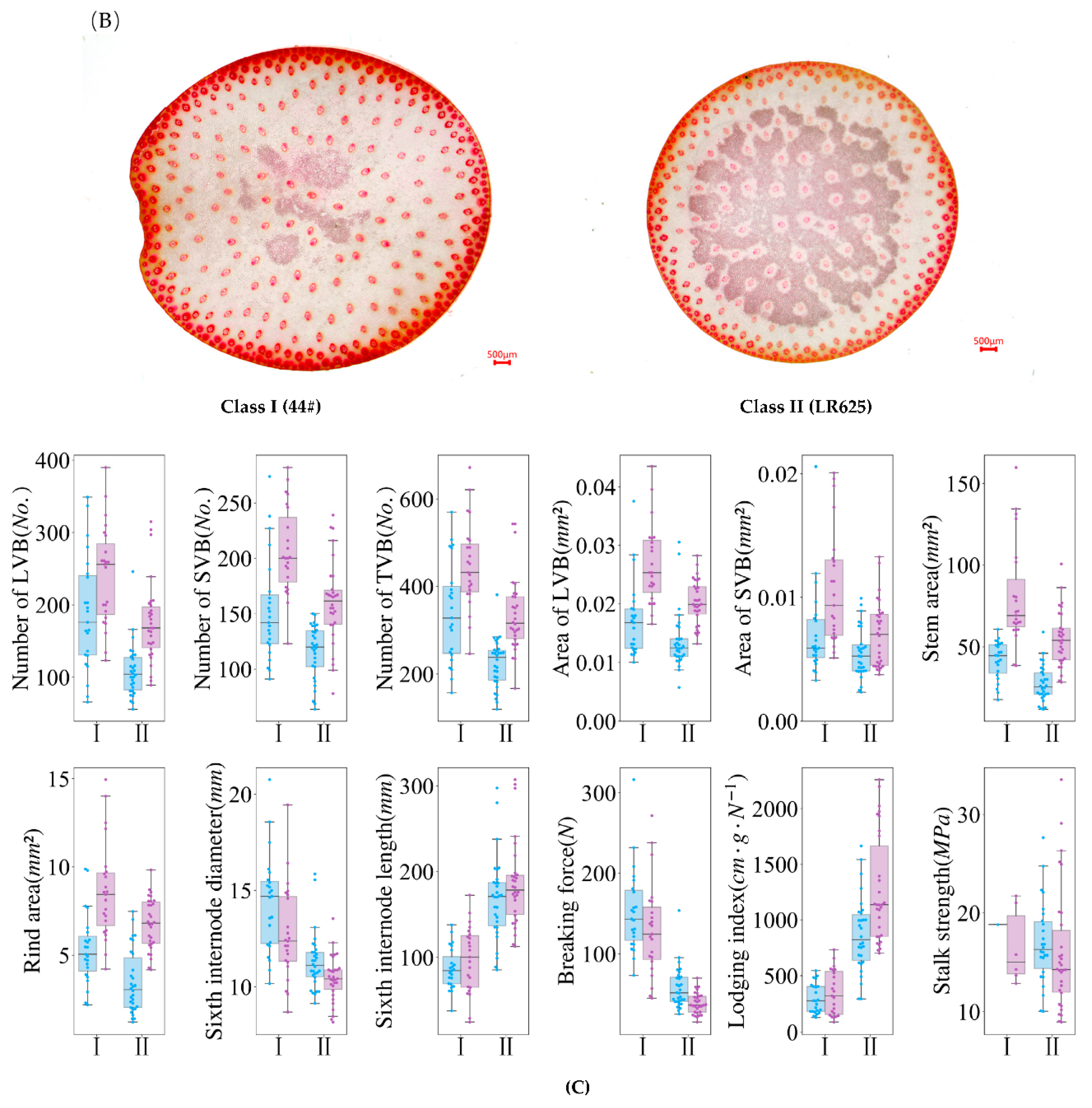 Agriculture 12 01696 g004b