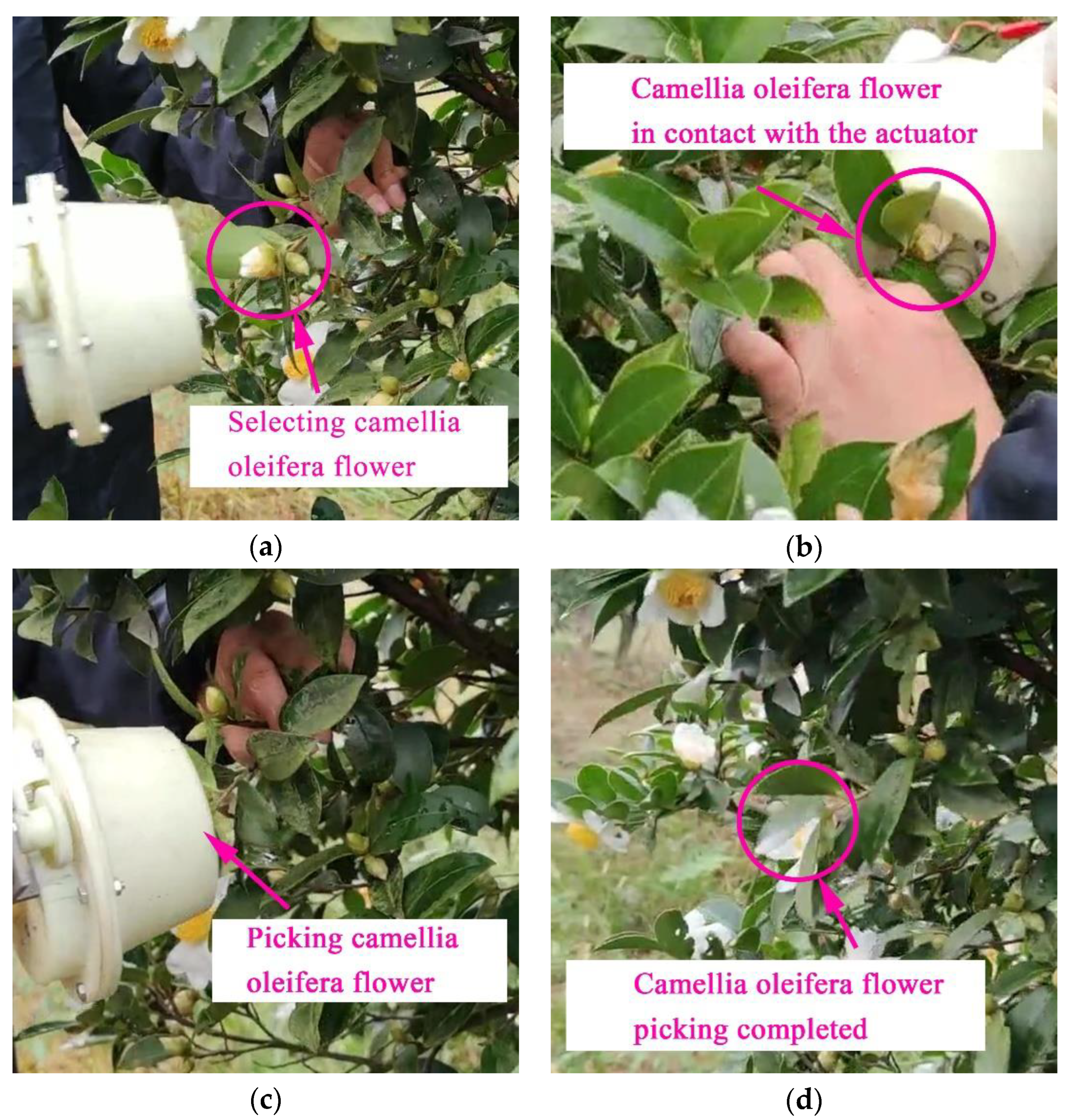 Agriculture 12 01698 g014