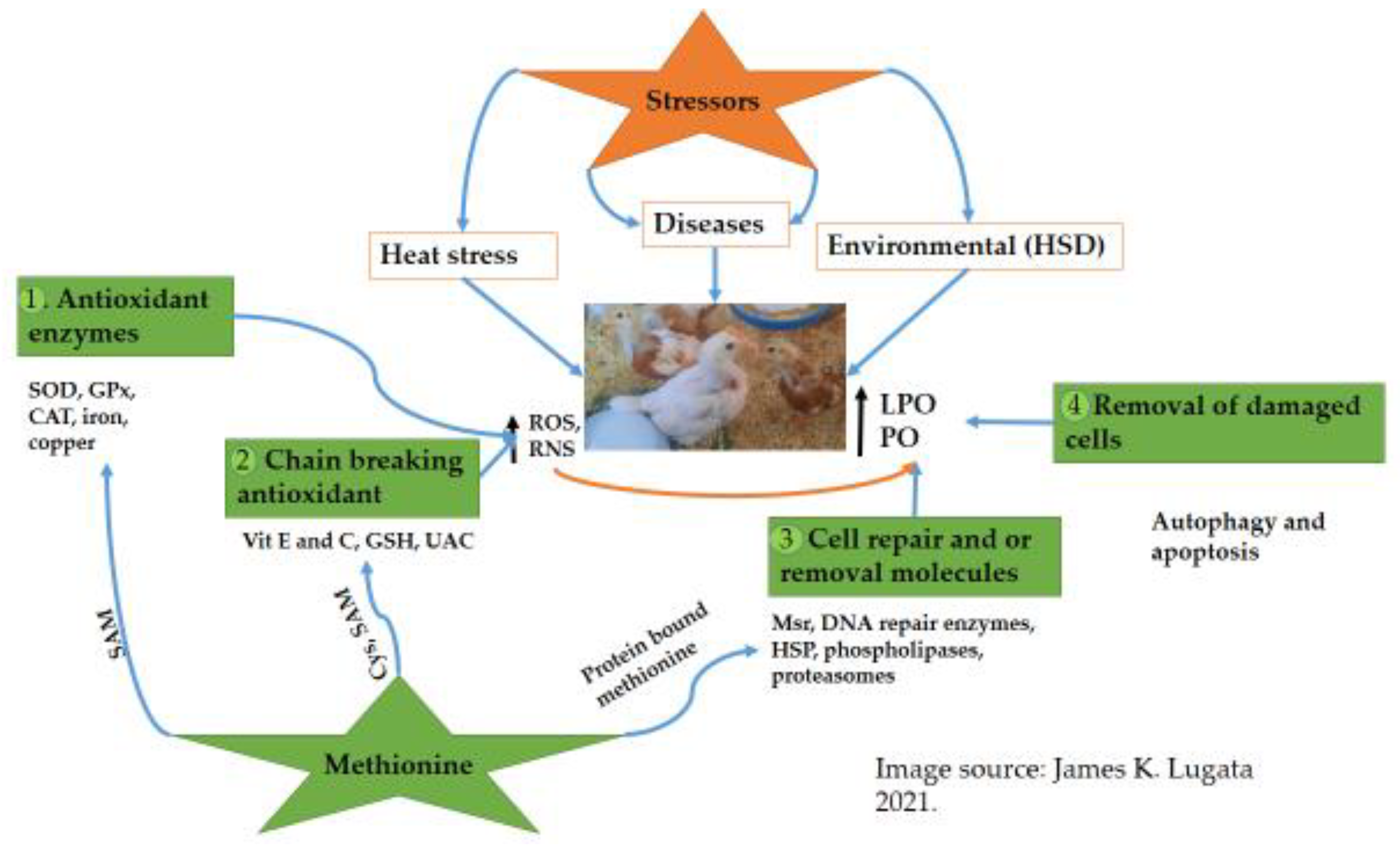 Agriculture 12 01701 g002 Agriculture 12 01701 g002