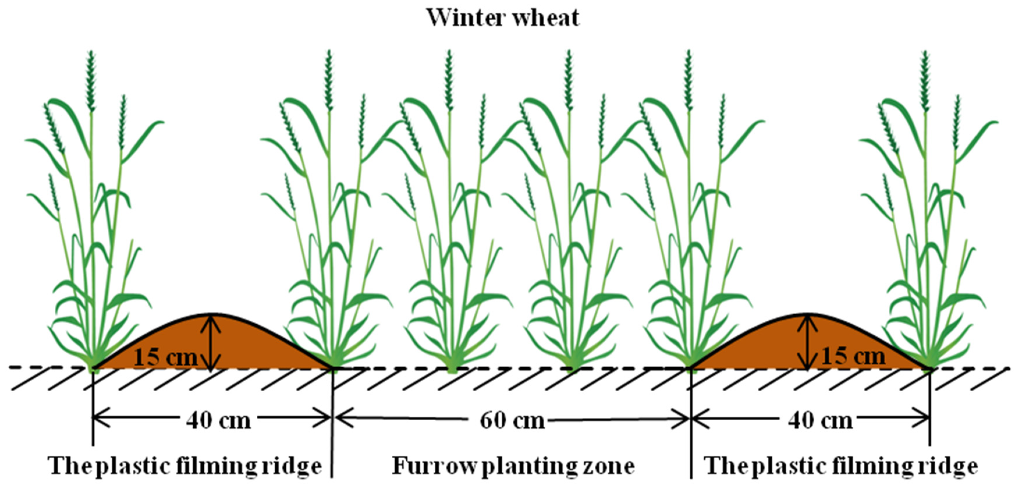 Agriculture 12 01704 g002 Agriculture 12 01704 g002