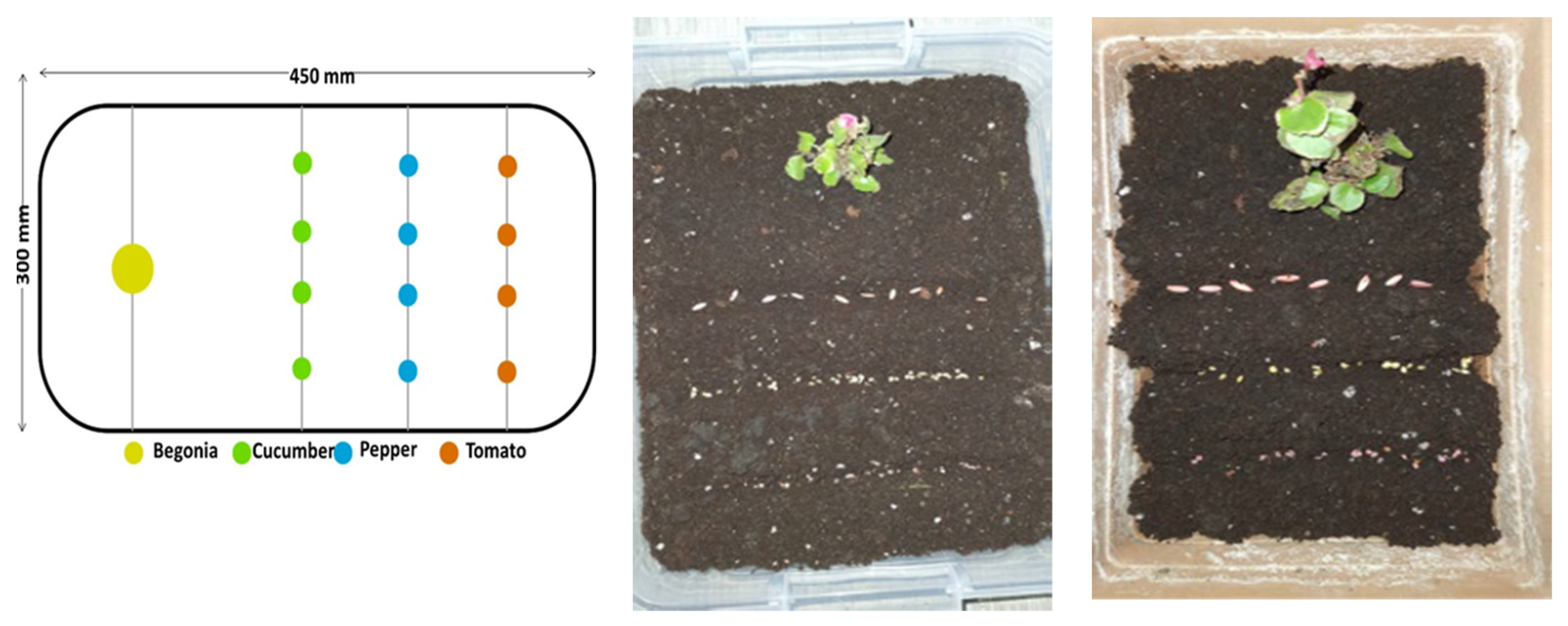 Agriculture 12 01705 g001