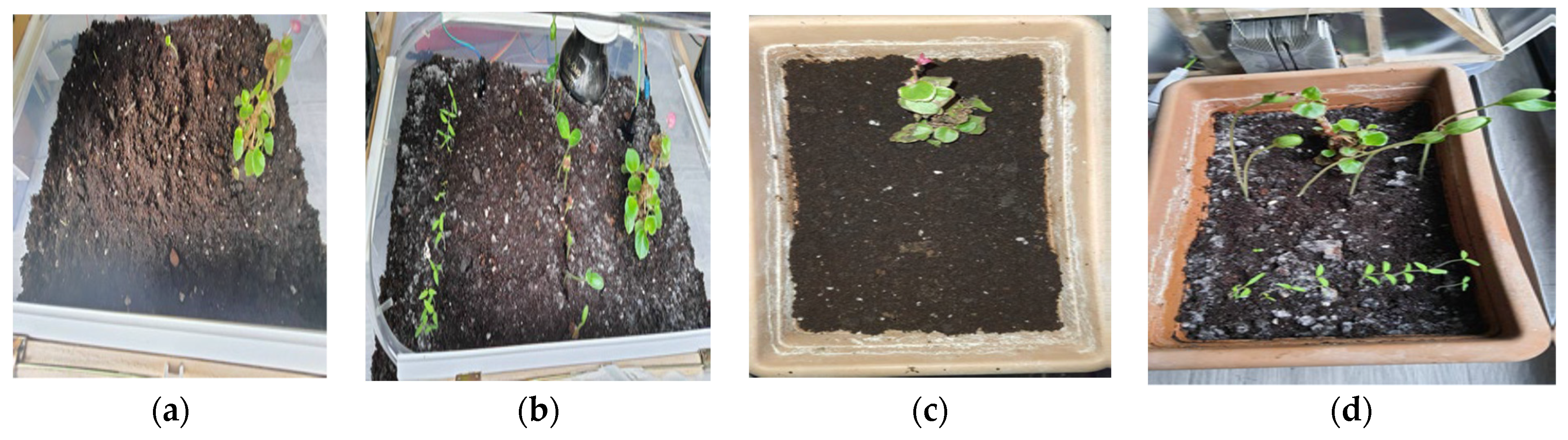 Agriculture 12 01705 g006