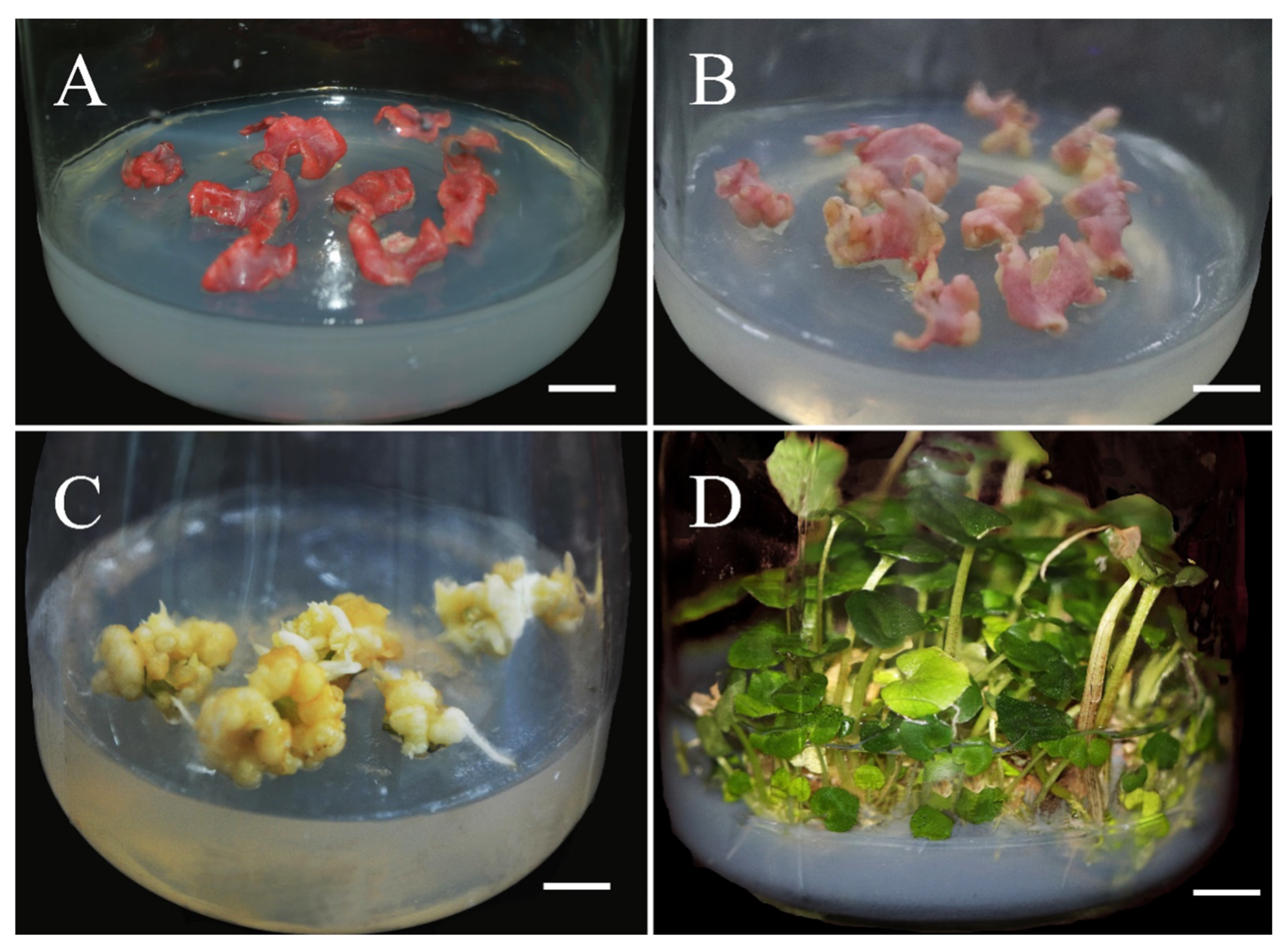 Agriculture 12 01708 g001 Agriculture 12 01708 g001