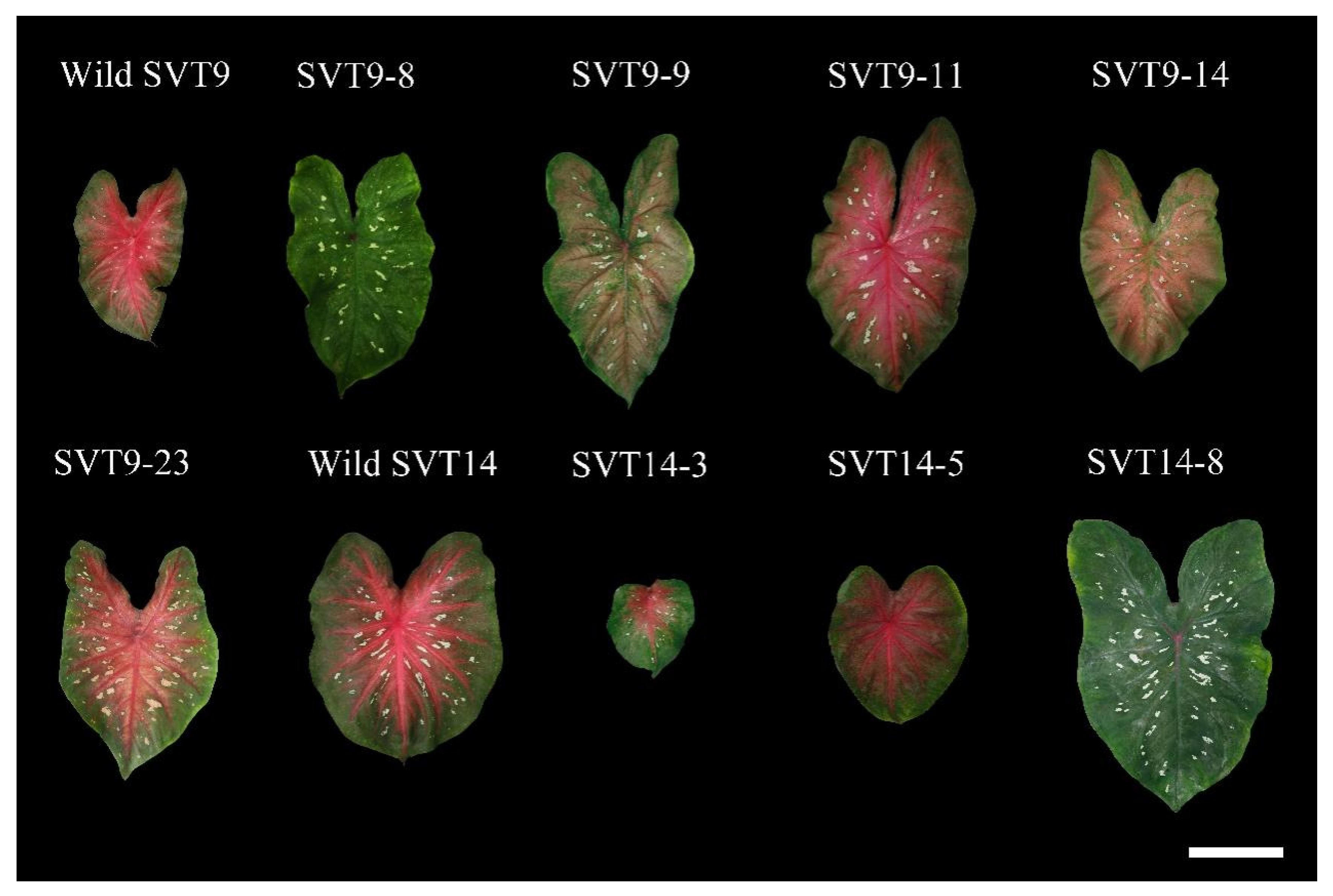 Agriculture 12 01708 g002 Agriculture 12 01708 g002
