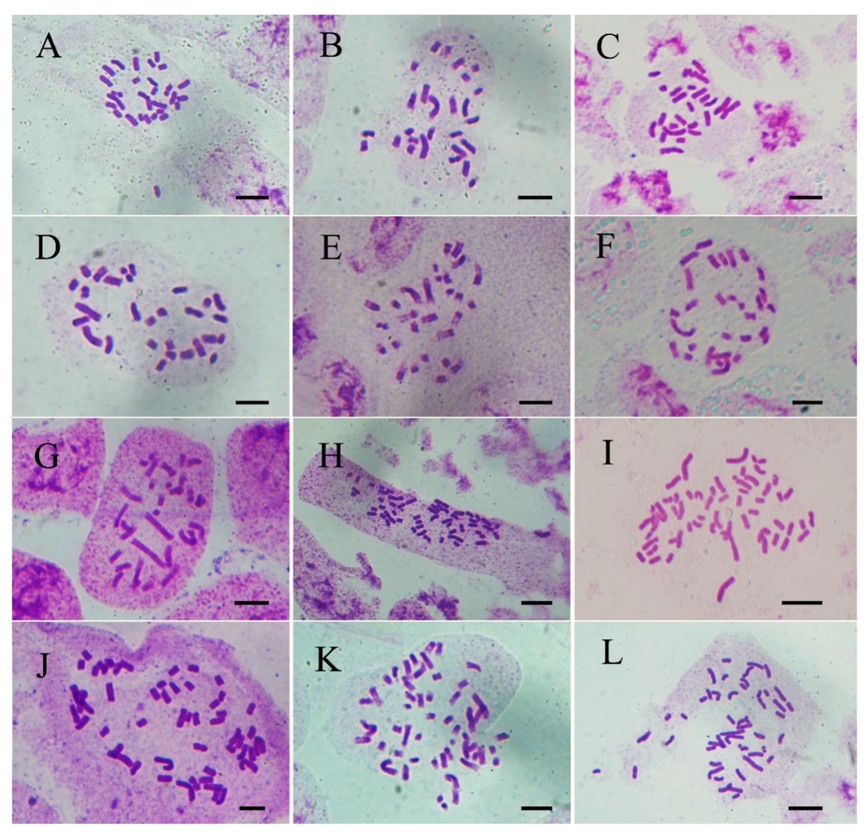 Agriculture 12 01708 g004 Agriculture 12 01708 g004