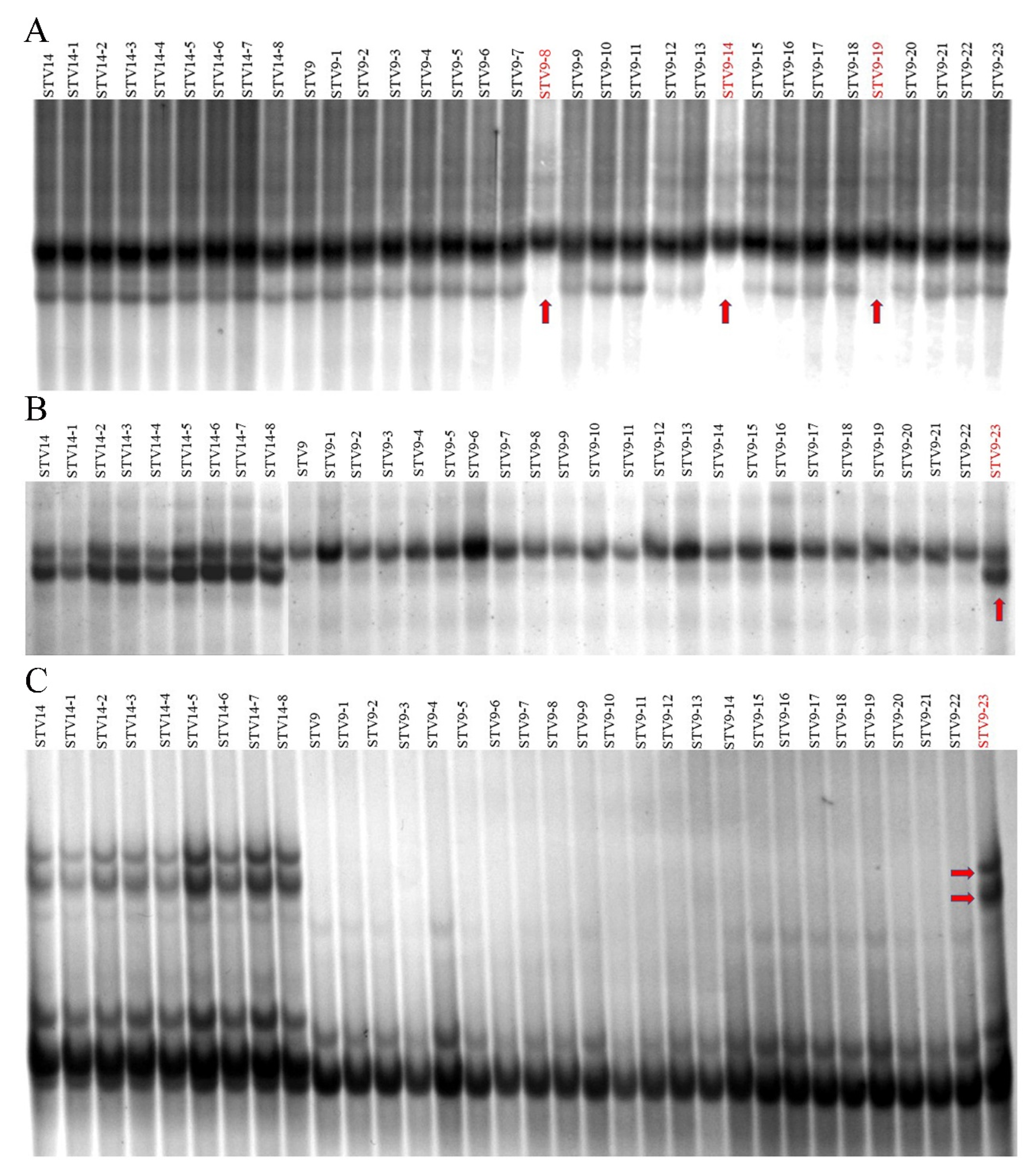 Agriculture 12 01708 g005 Agriculture 12 01708 g005