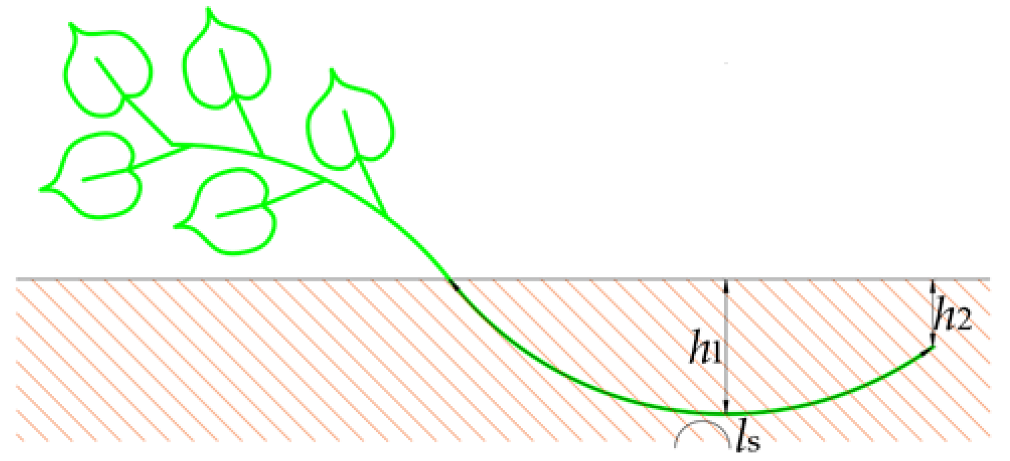 Agriculture 12 01716 g001