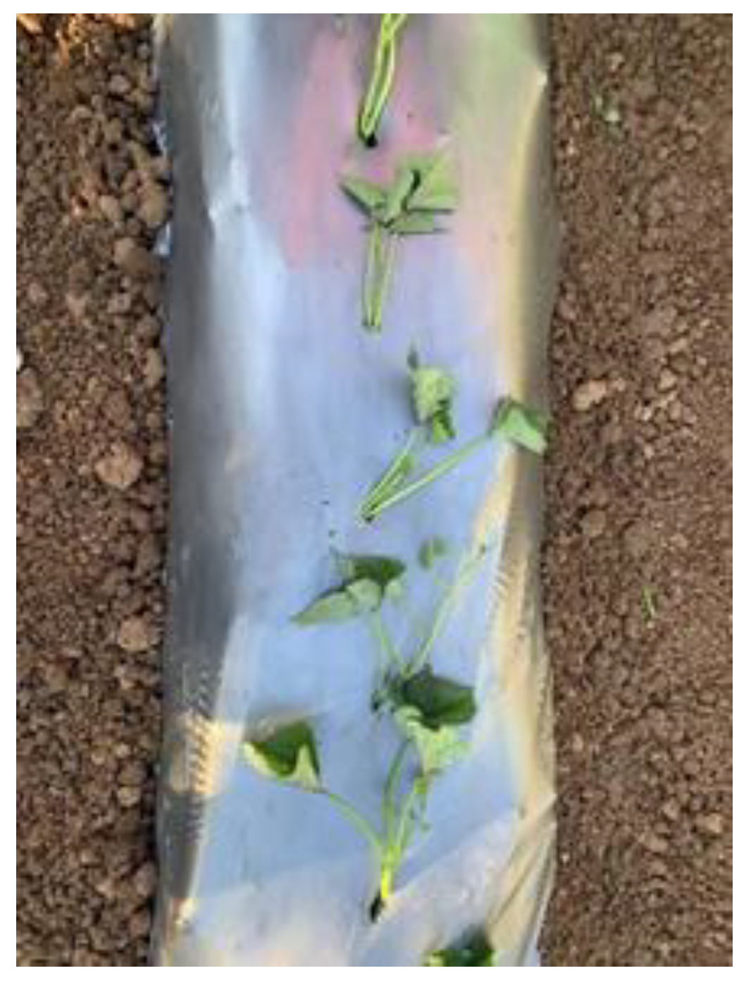 Agriculture 12 01716 g022